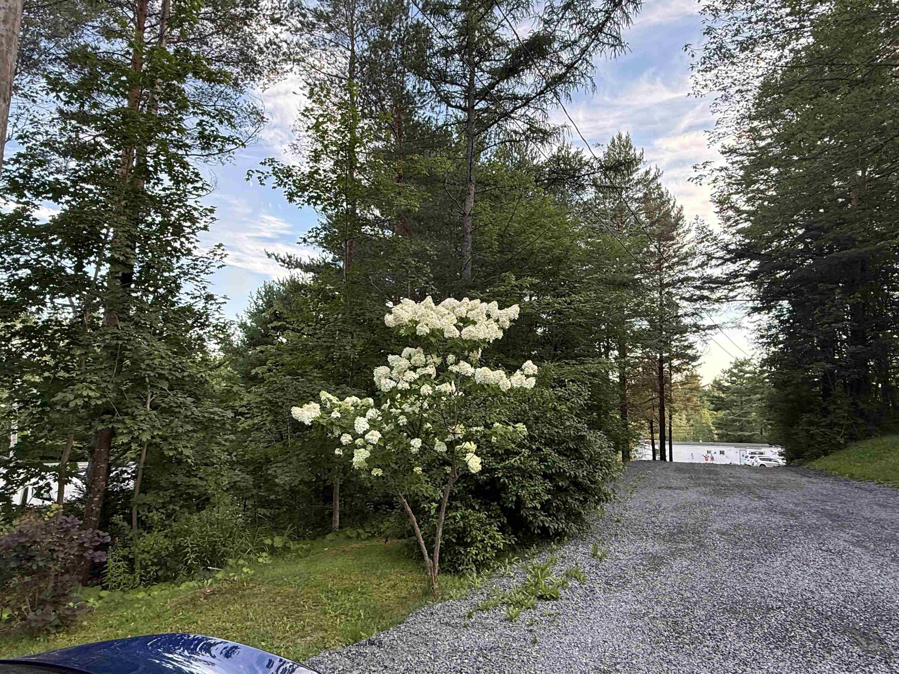 View image 37