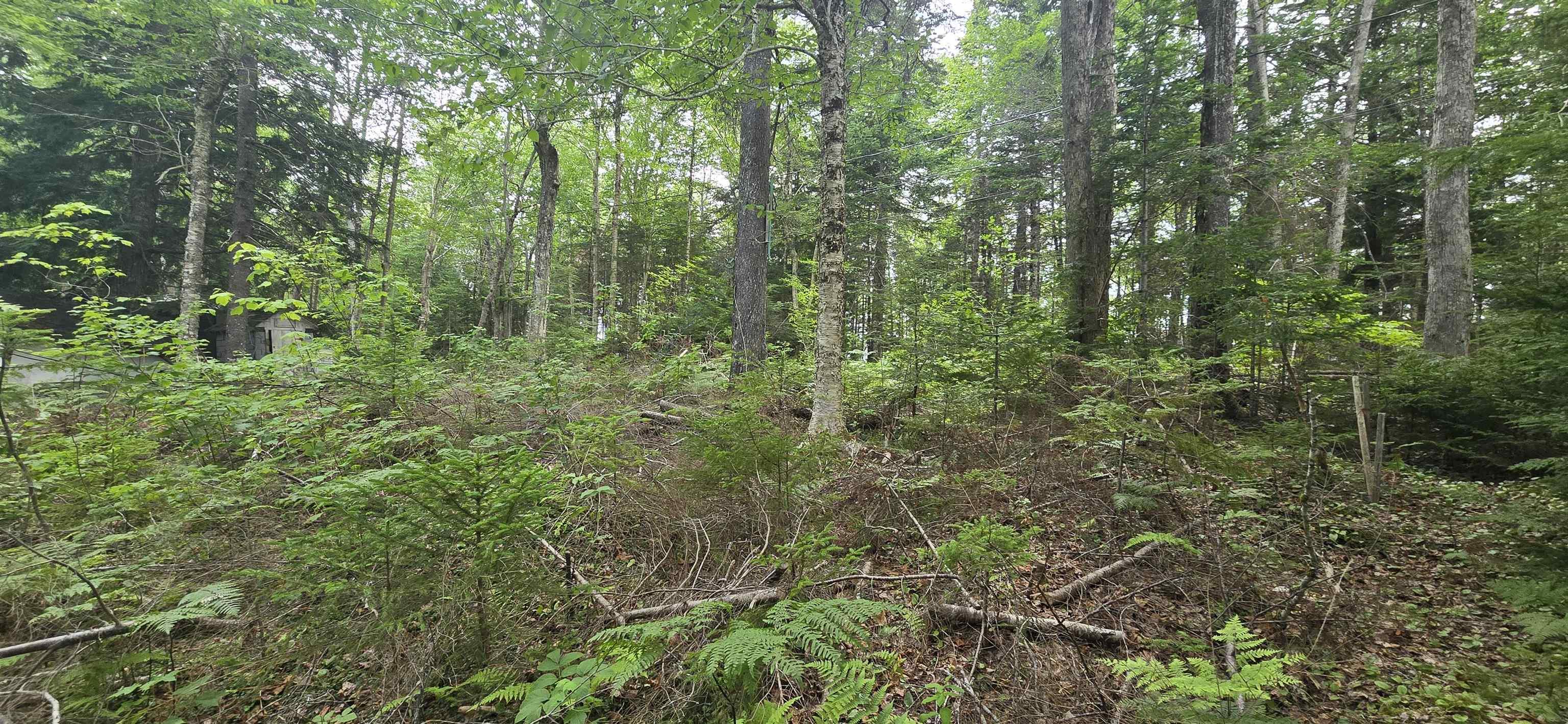 View image 3