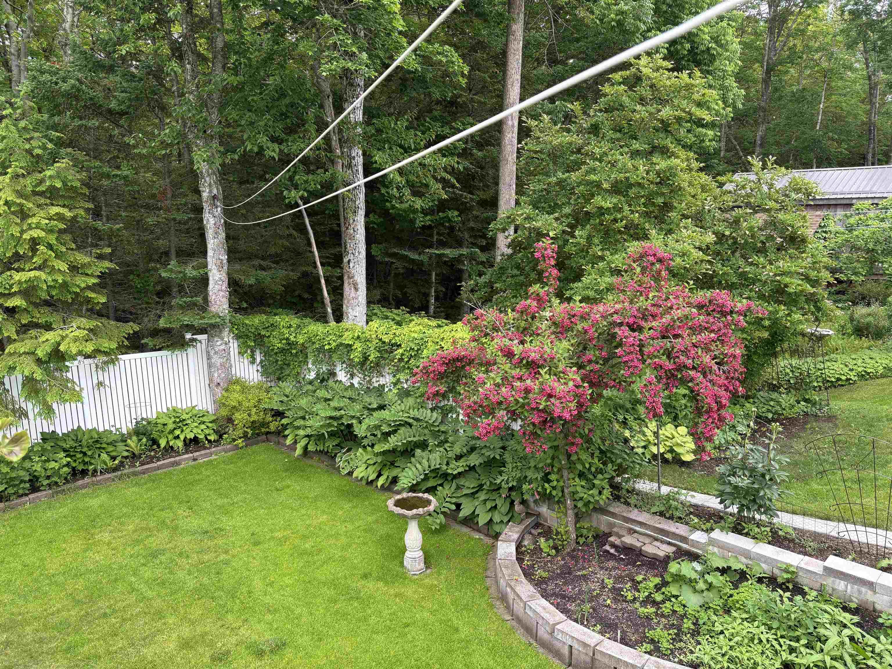 View image 49