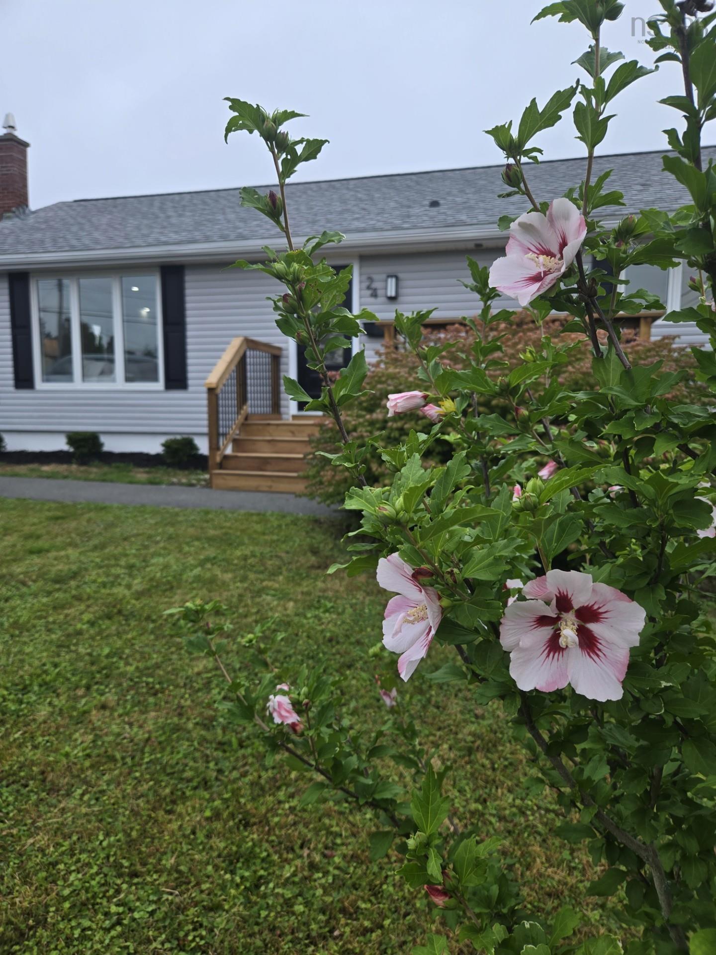 View image 50