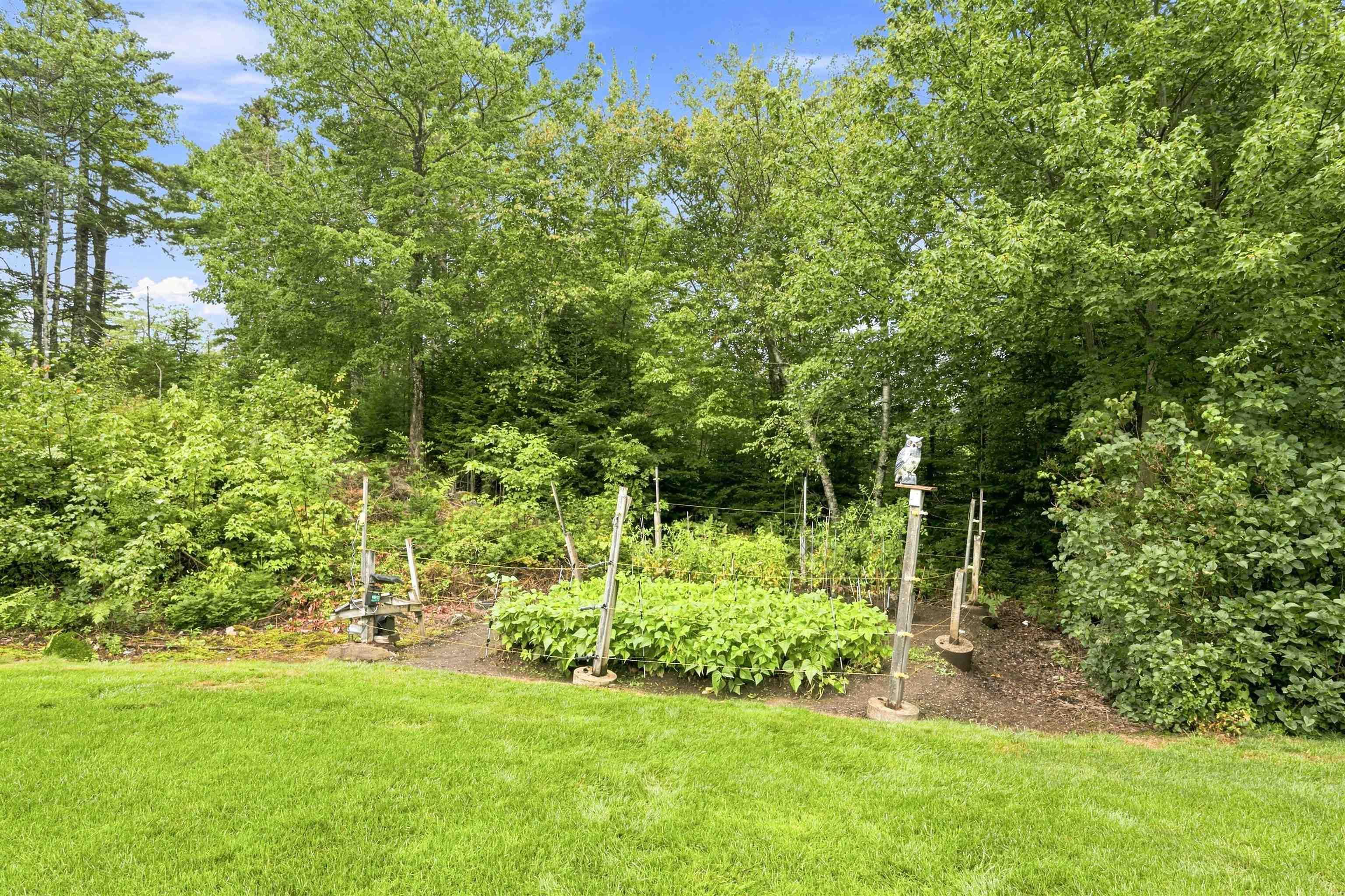 View image 38