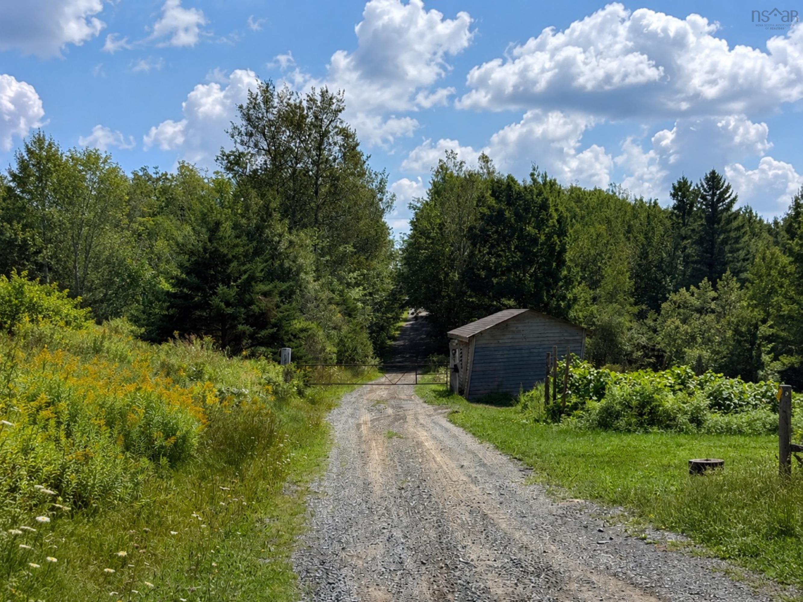 View image 2