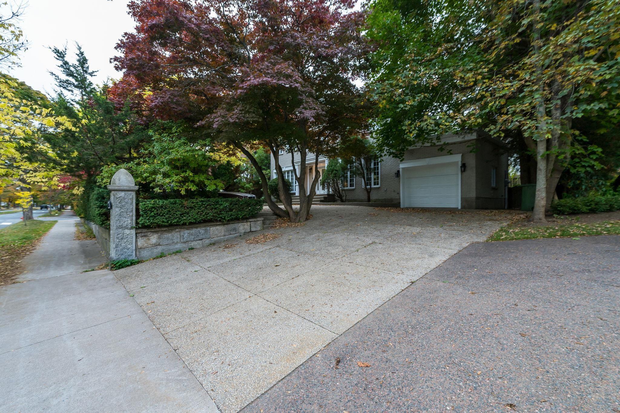 View image 50