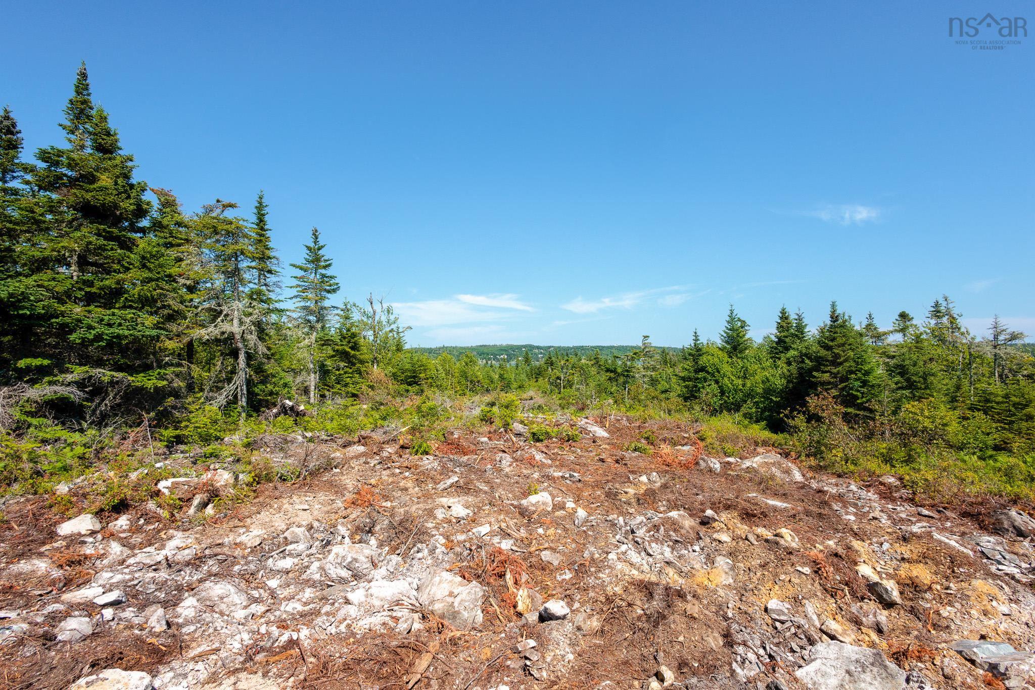 View image 32