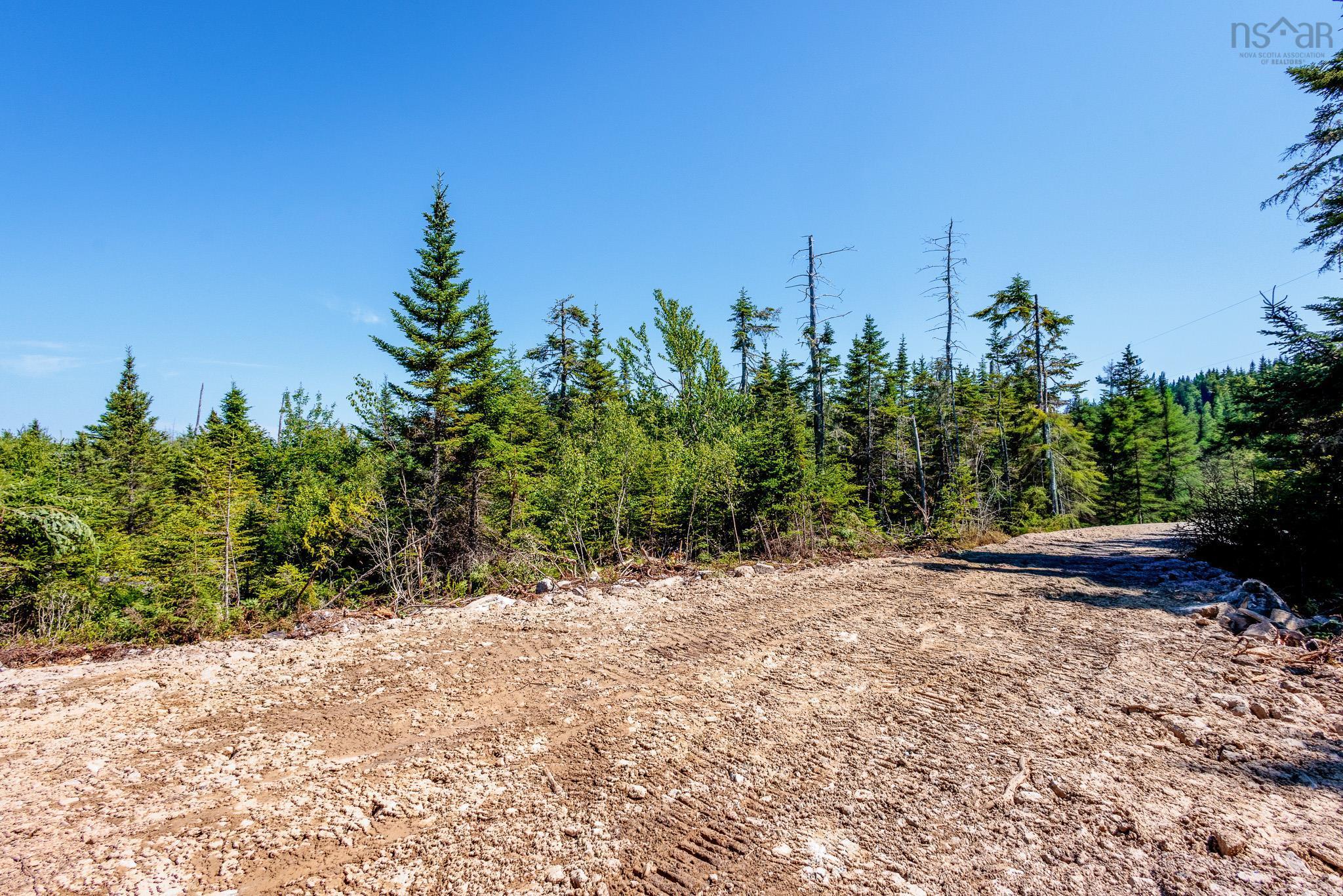 View image 9