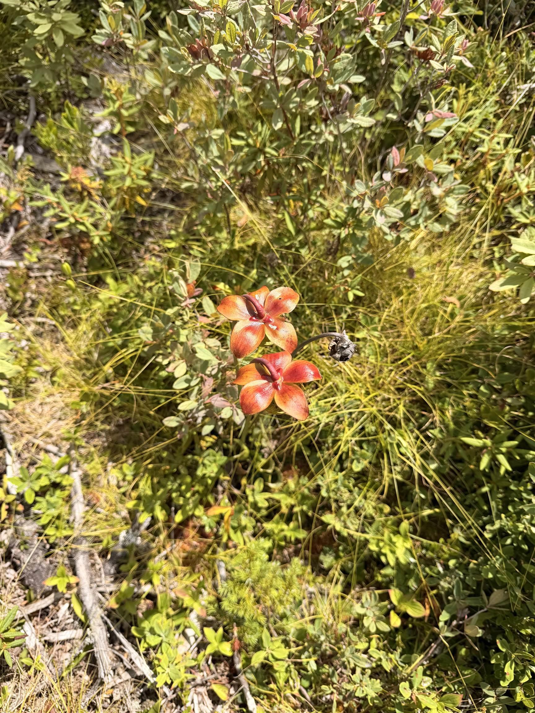 View image 15