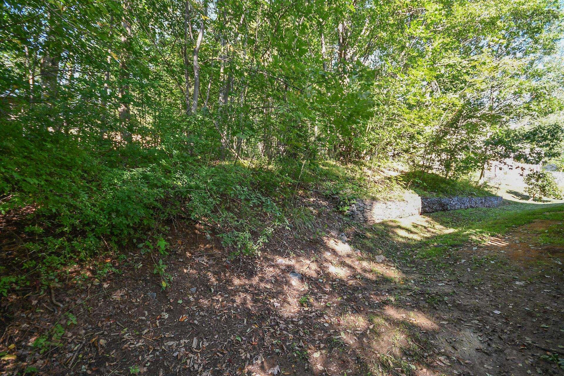 View image 50