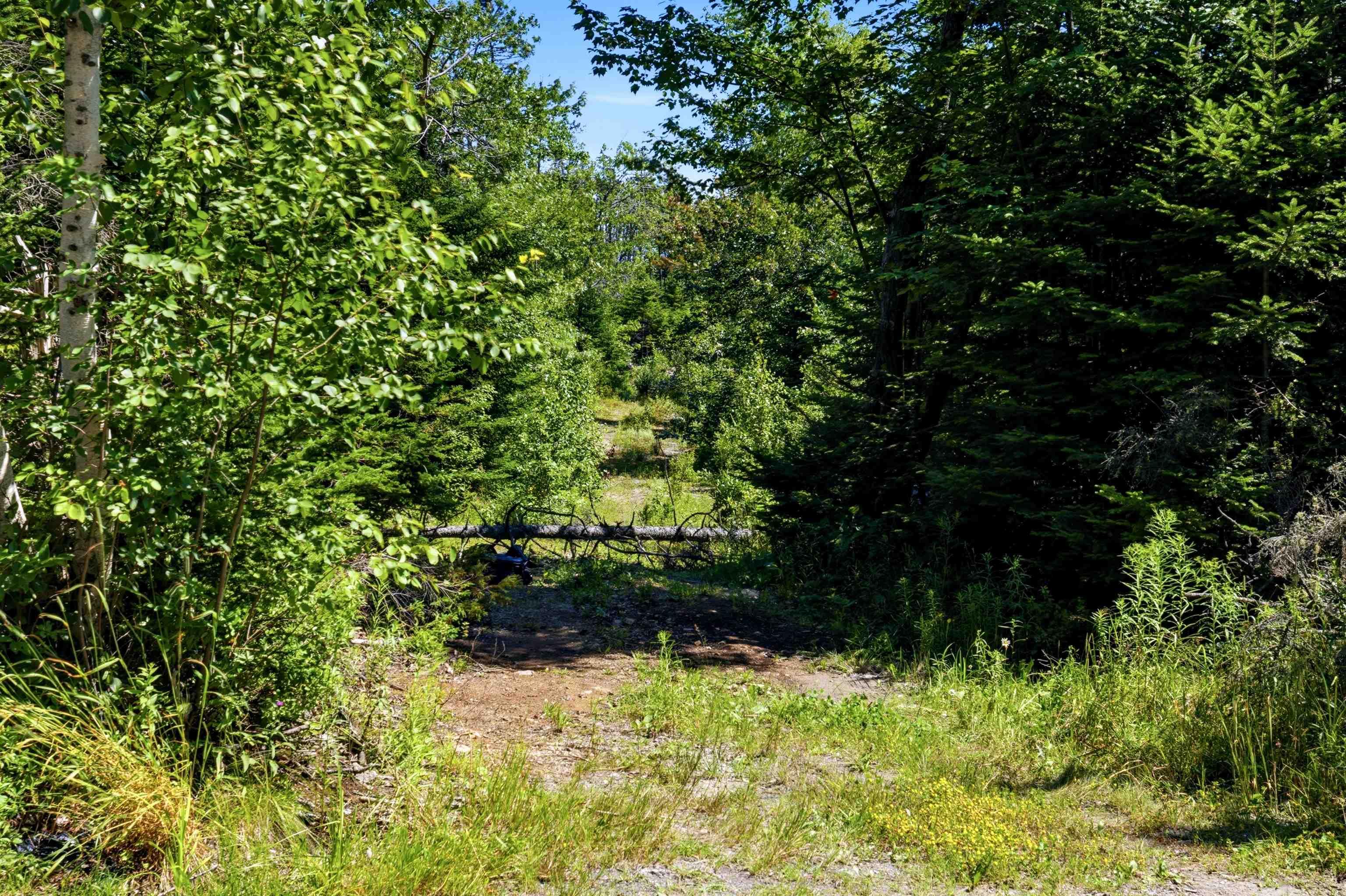 View image 12
