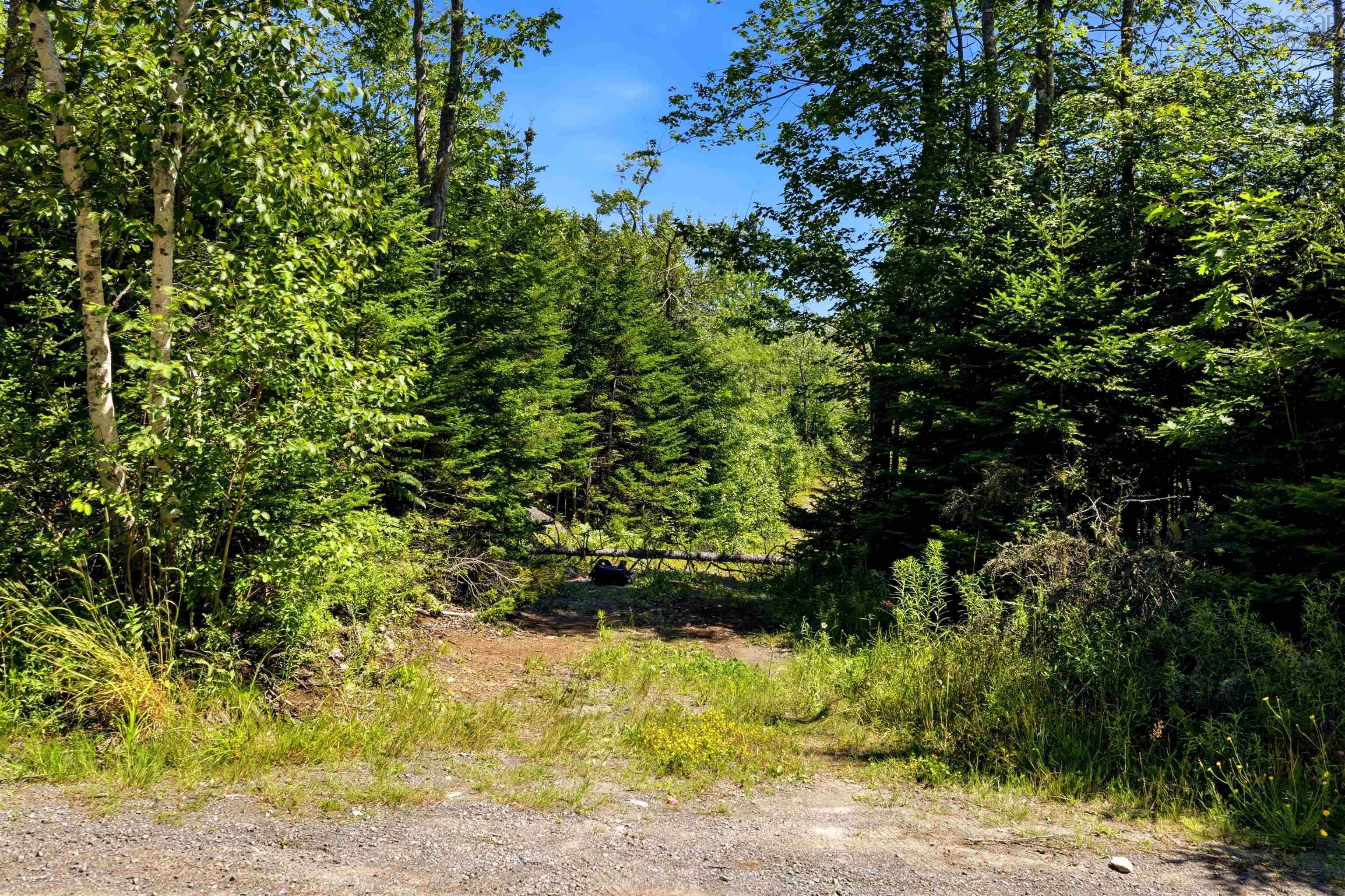 View image 13