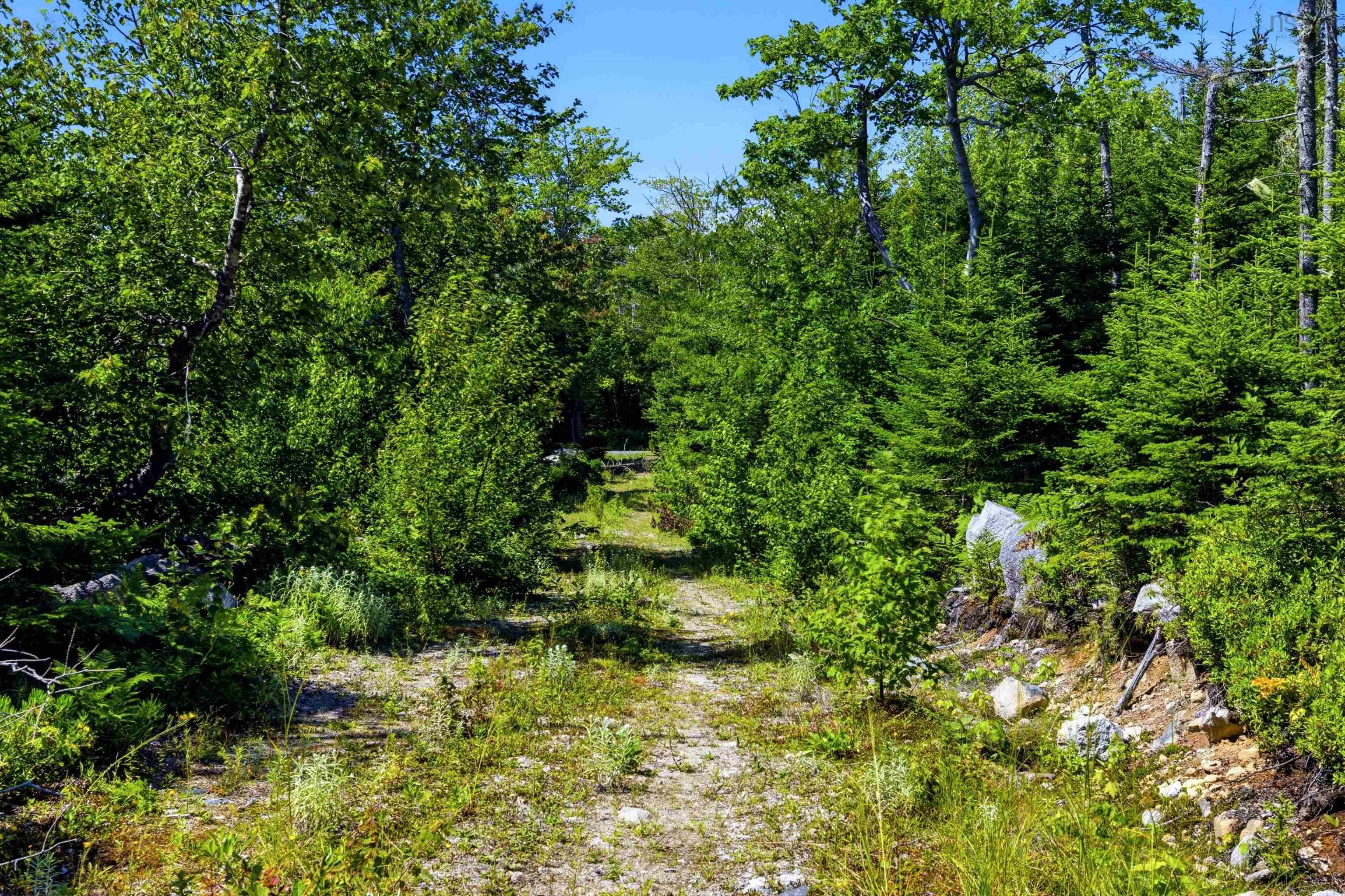 View image 14