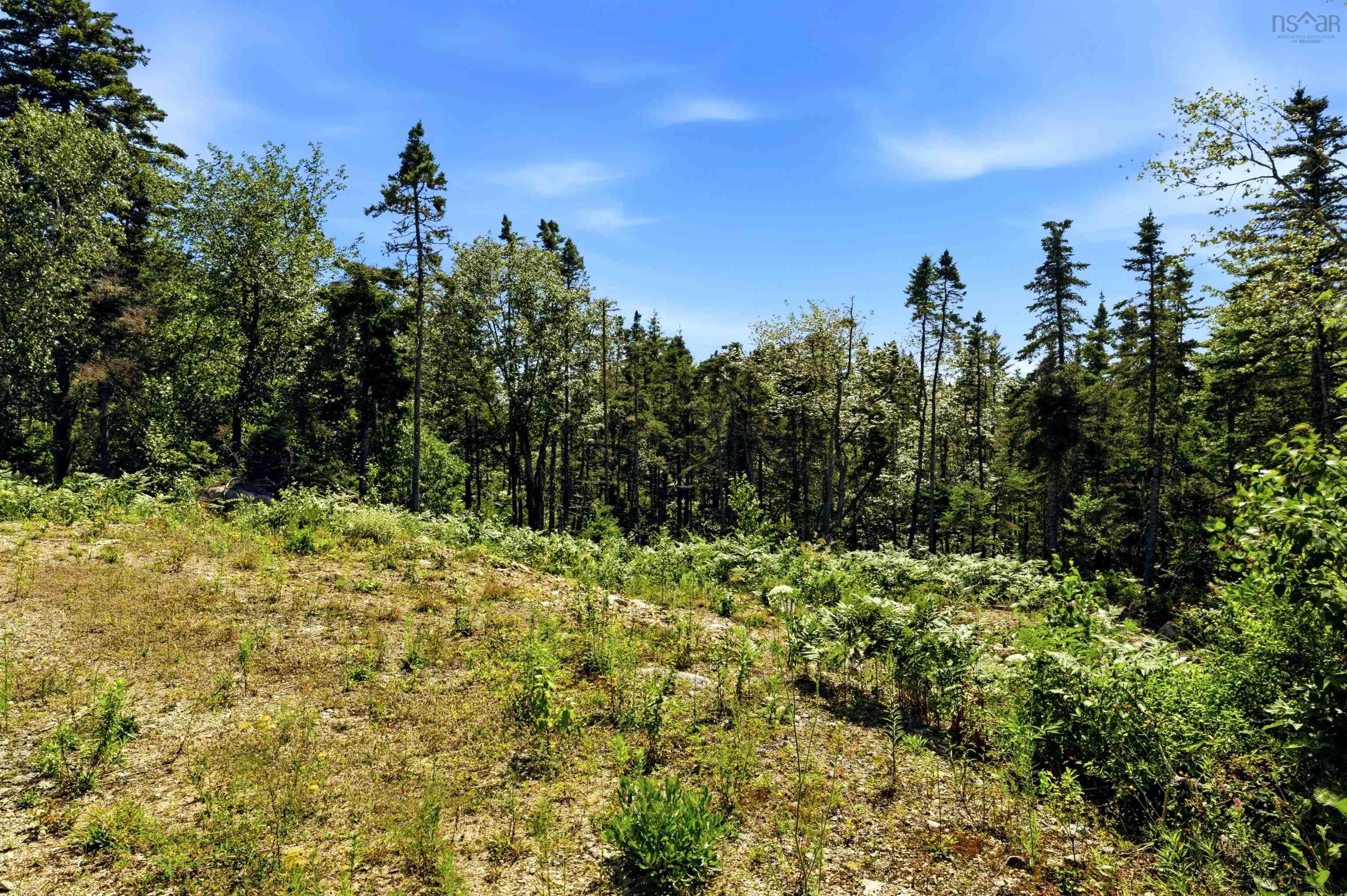 View image 15