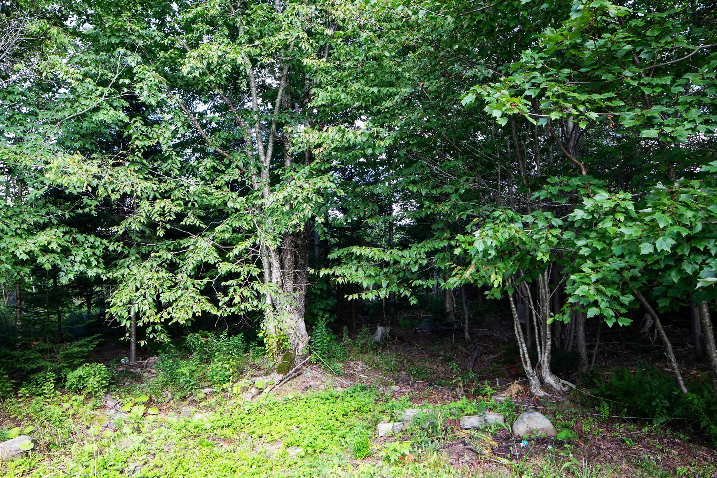View image 35