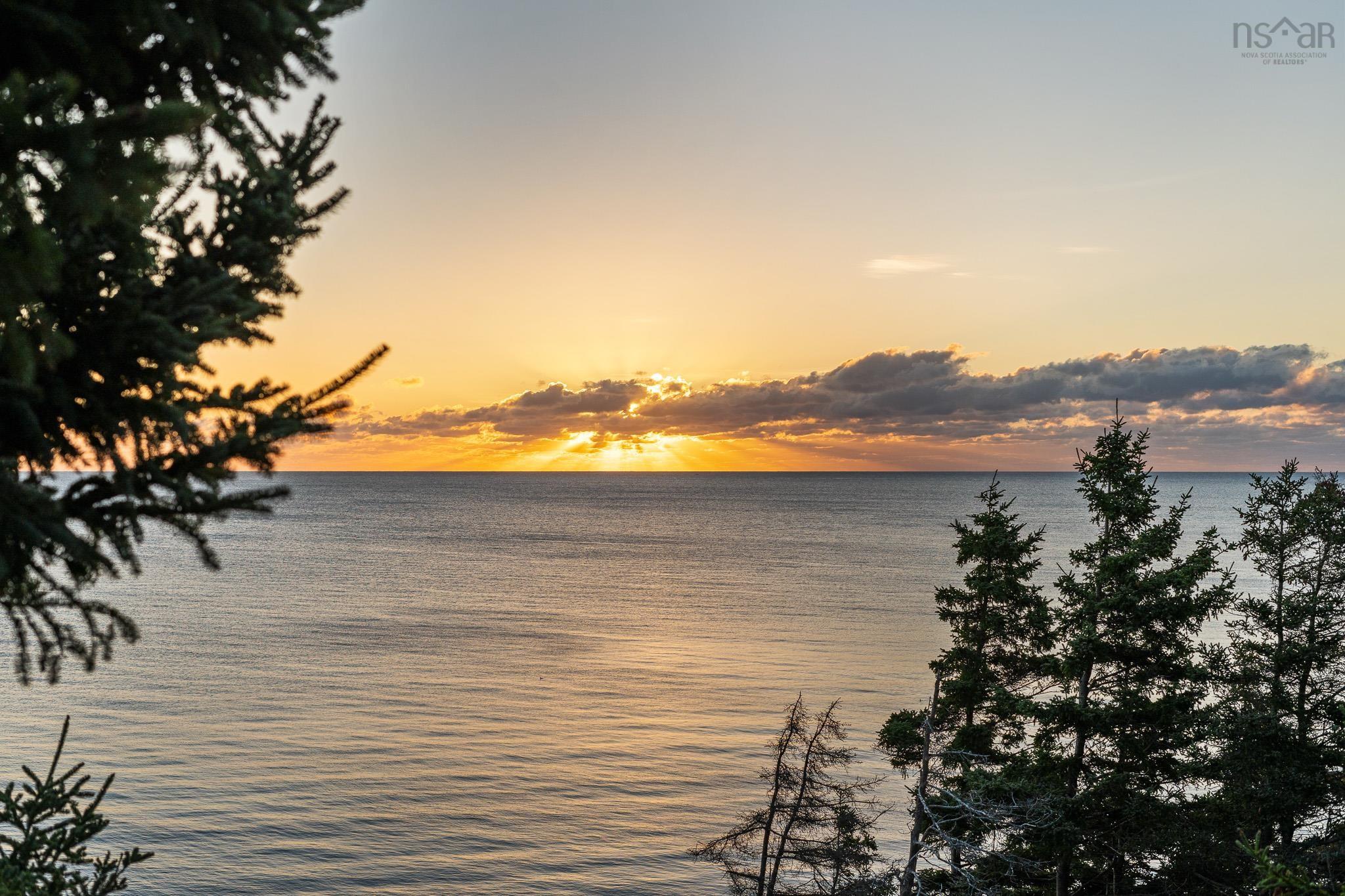 View image 50