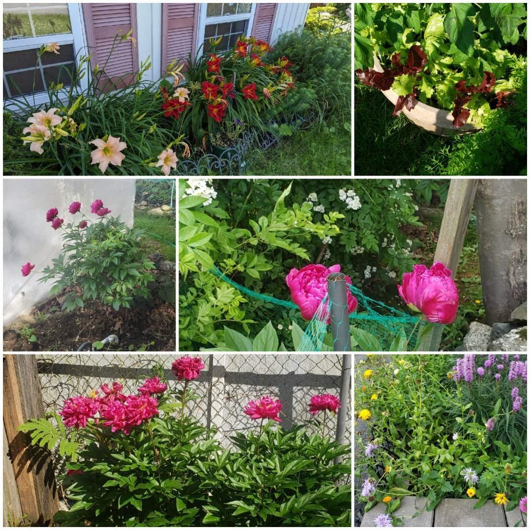 View image 35