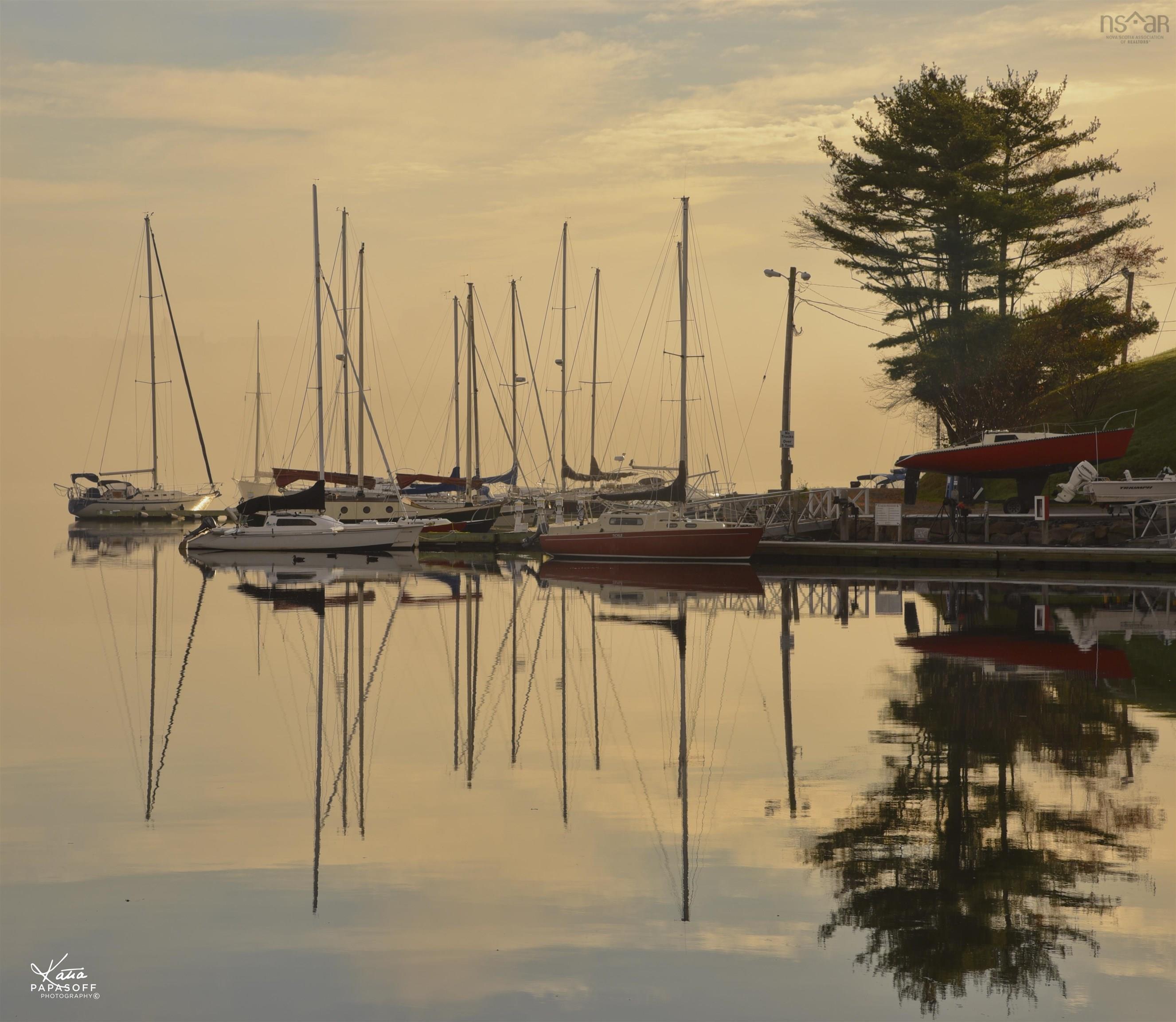 View image 40