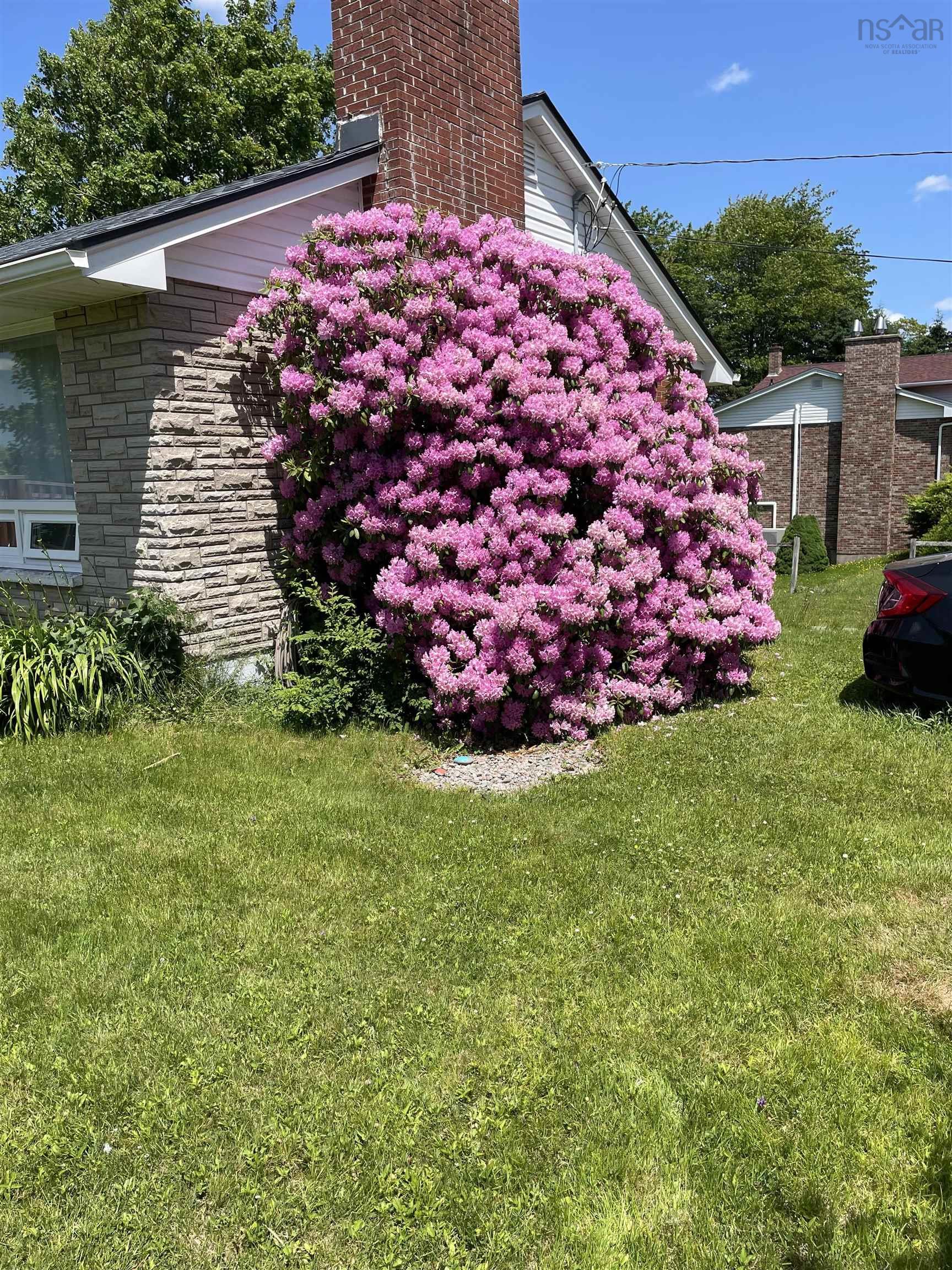 View image 42