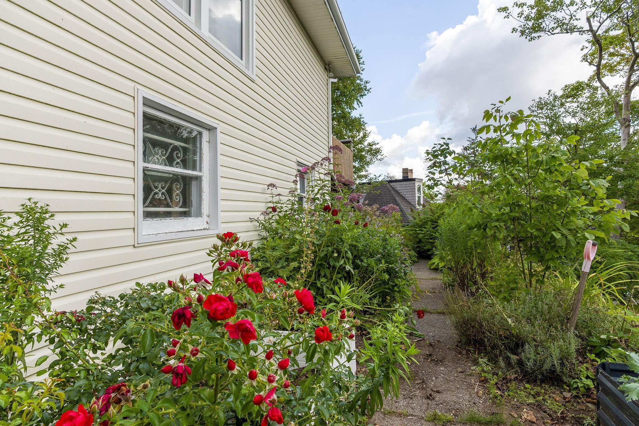 View image 41