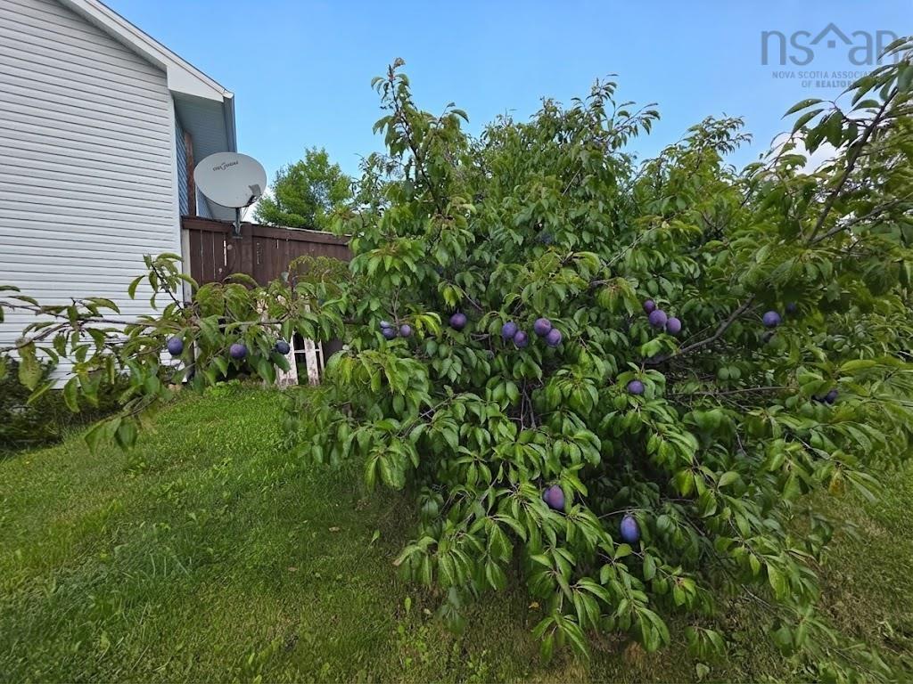 View image 21