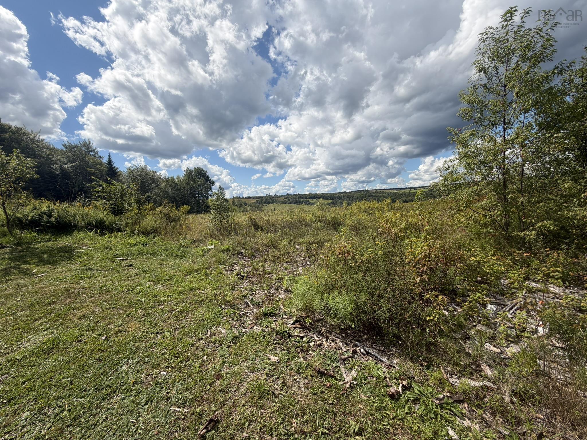 View image 18