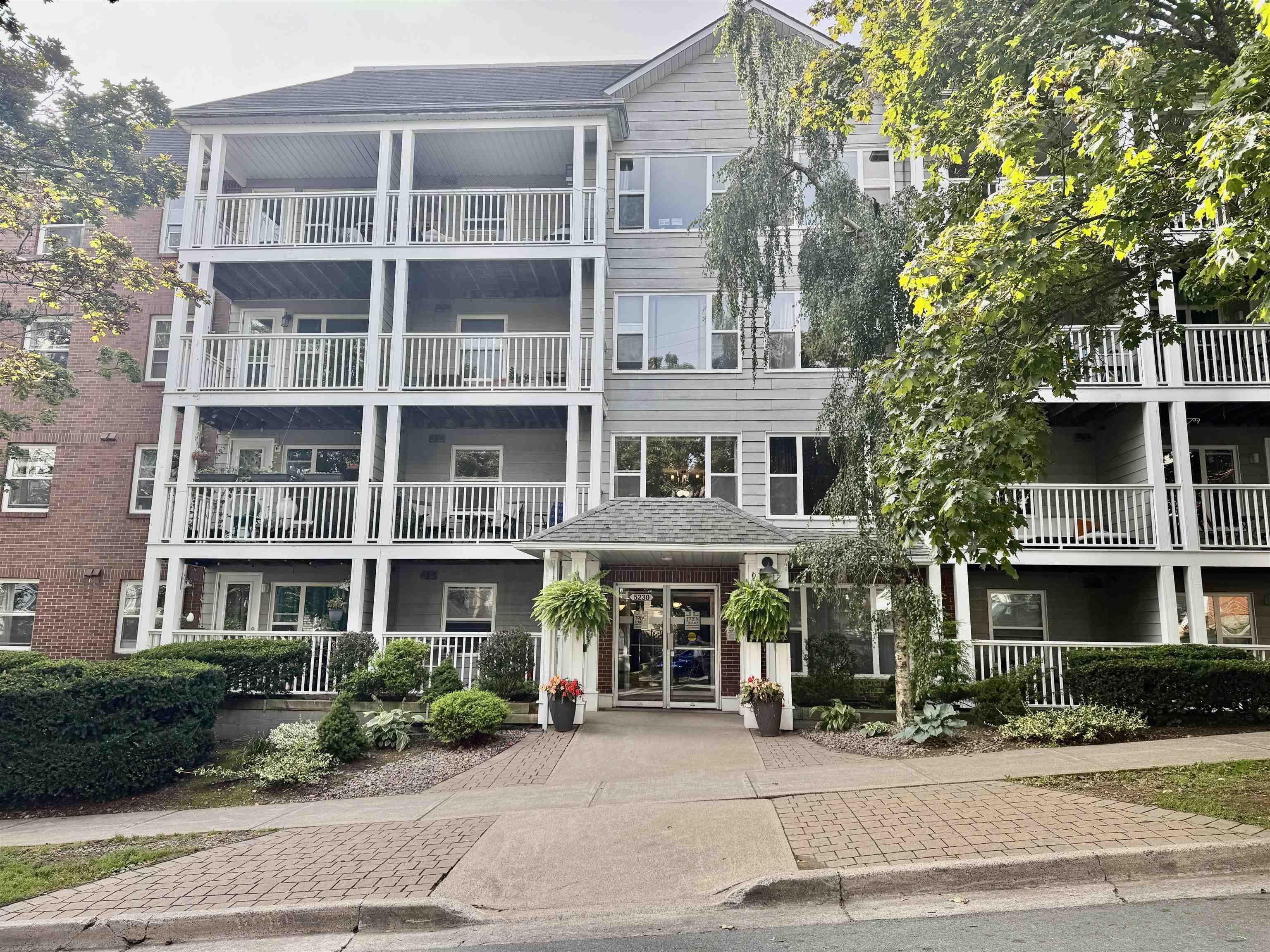 View image 50