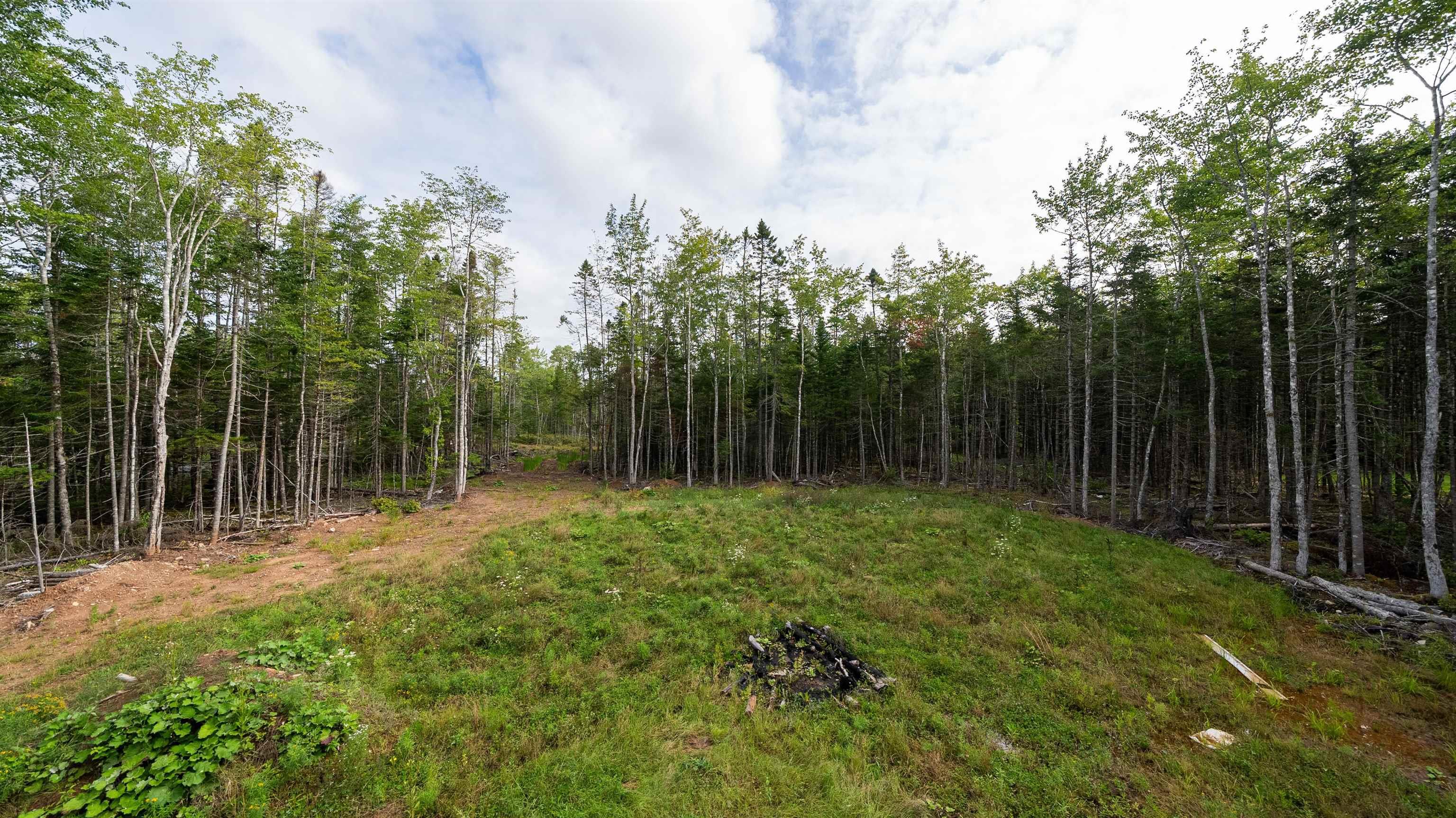 View image 50