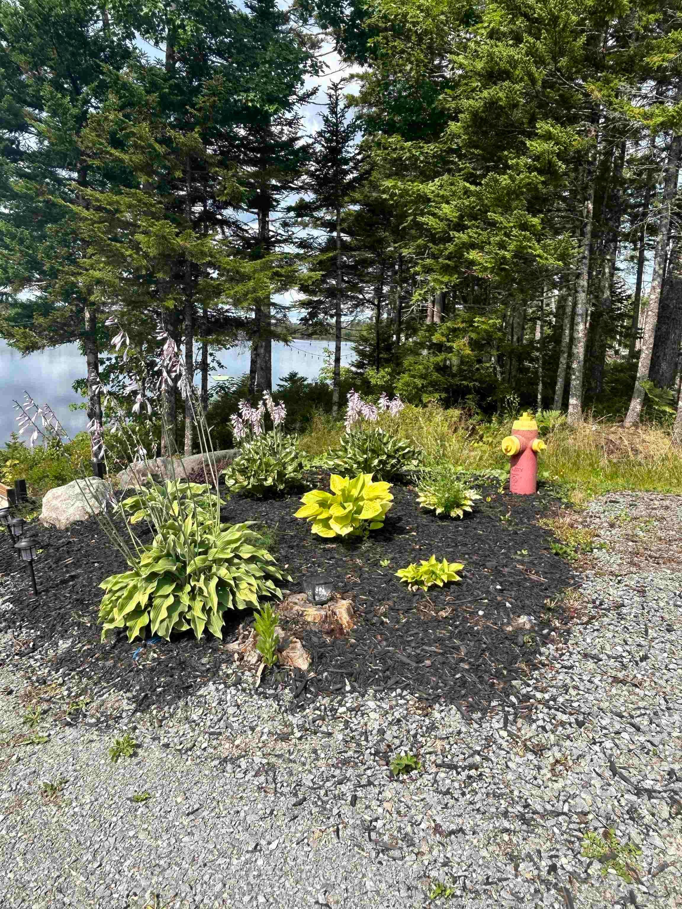 View image 20