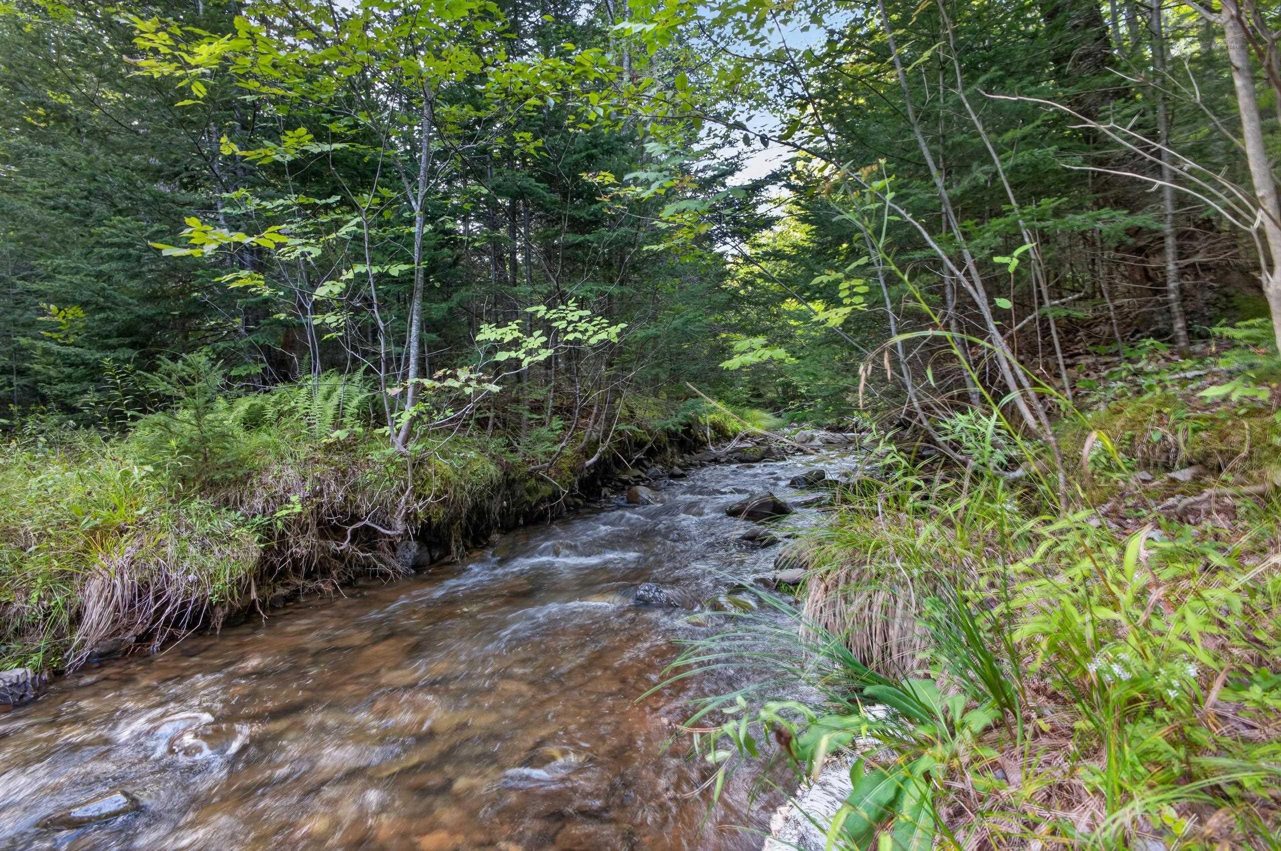 View image 31