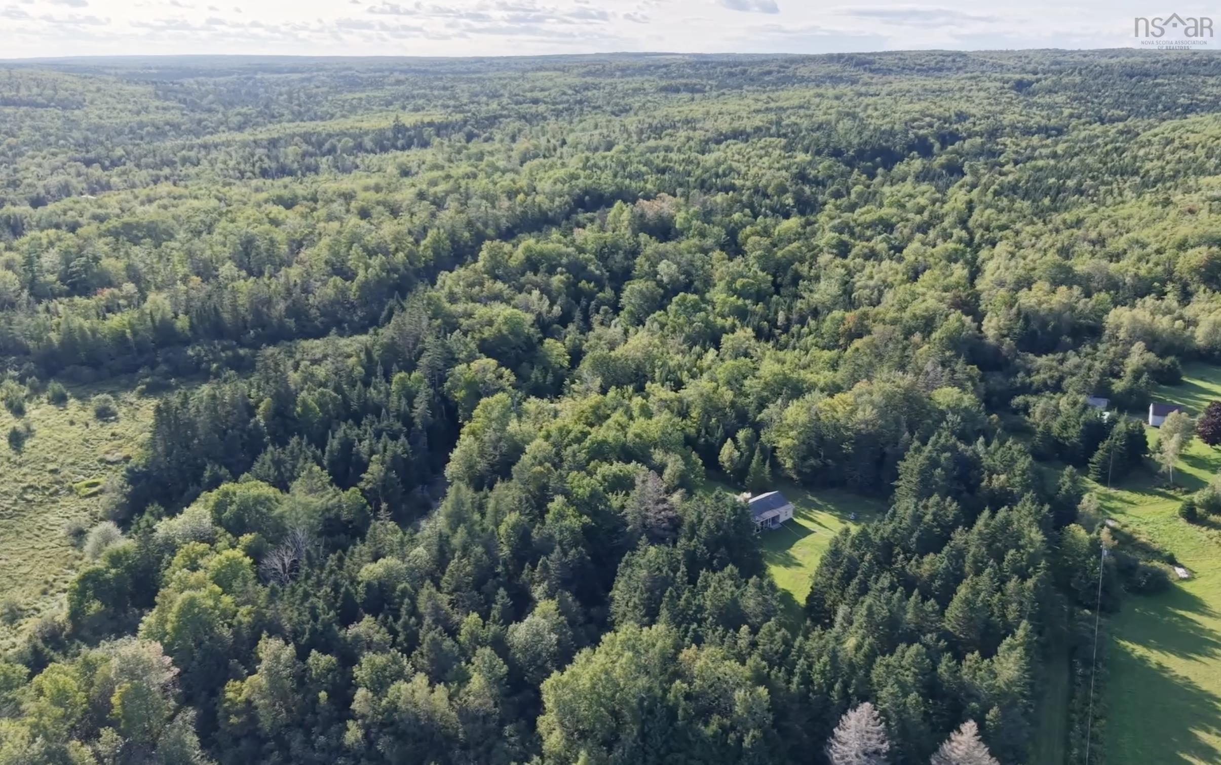 View image 40