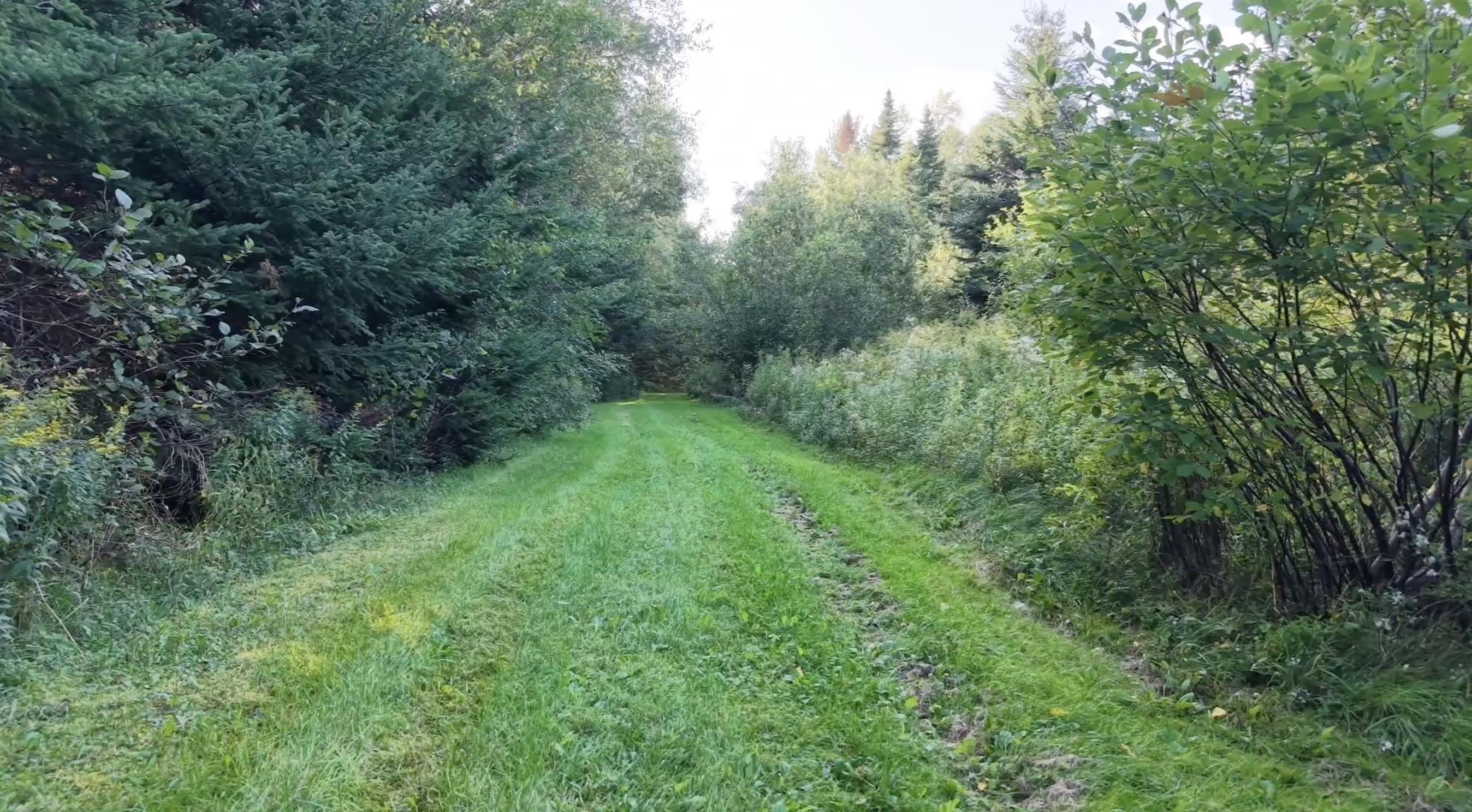 View image 42
