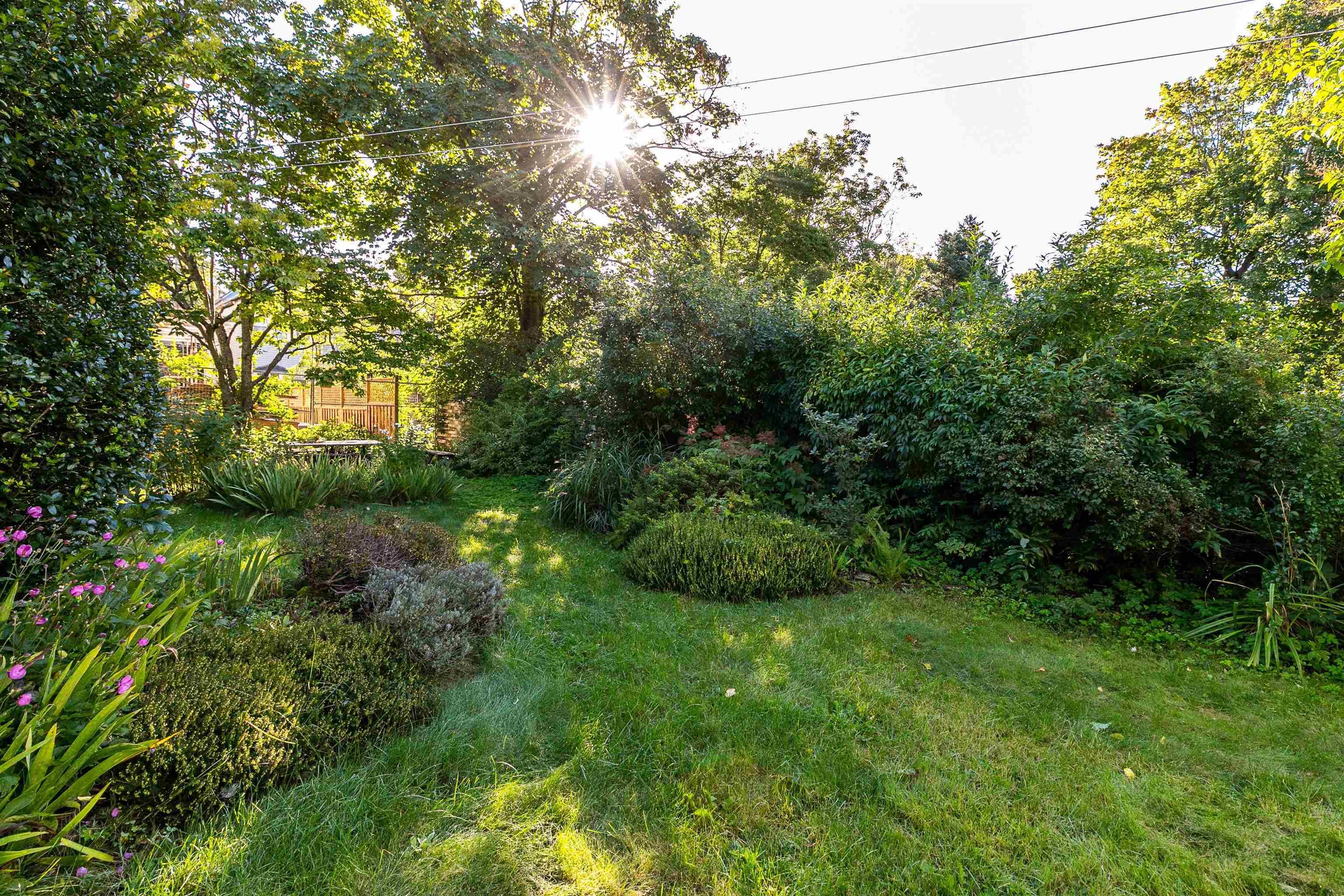 View image 35