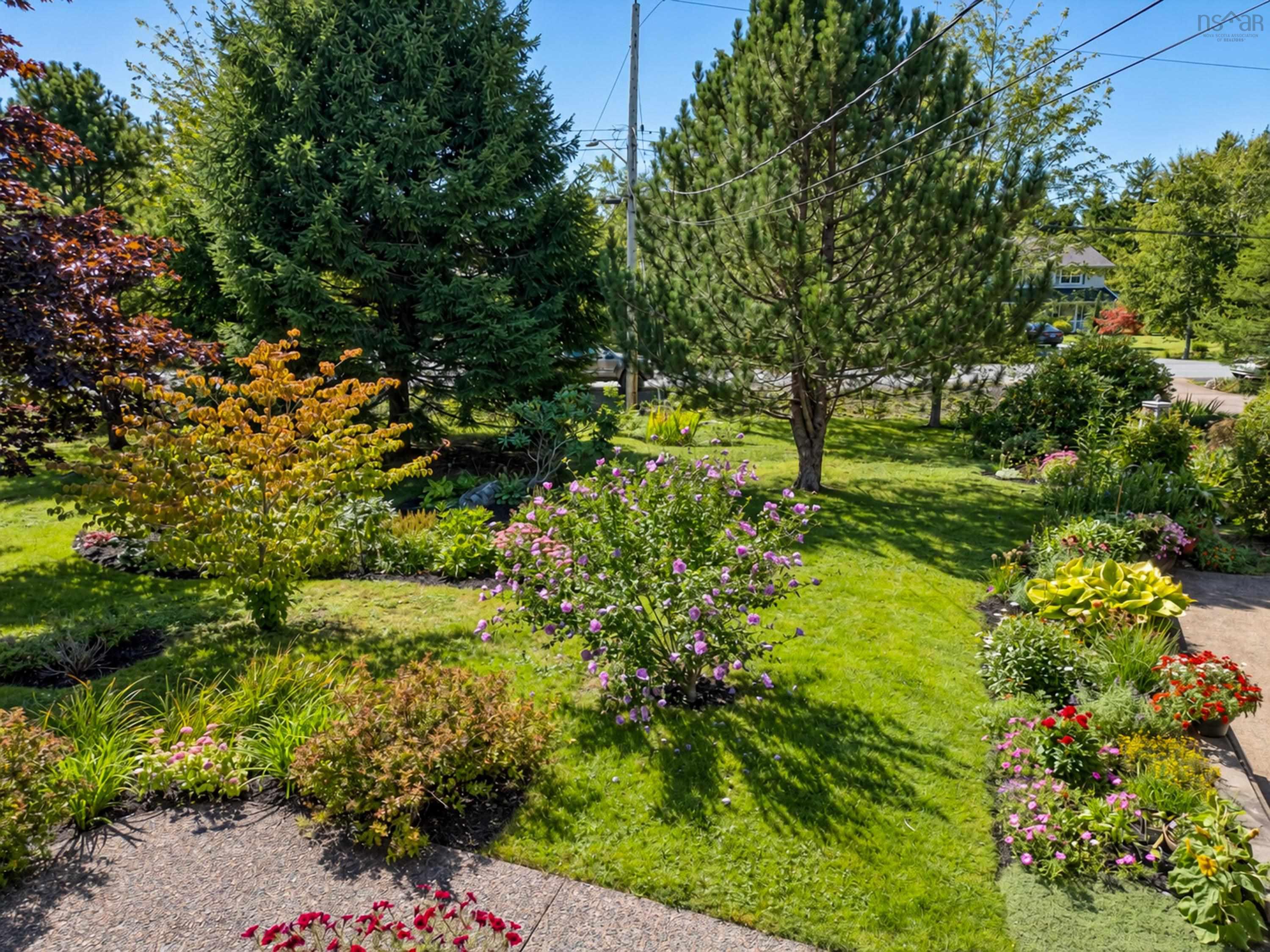 View image 38