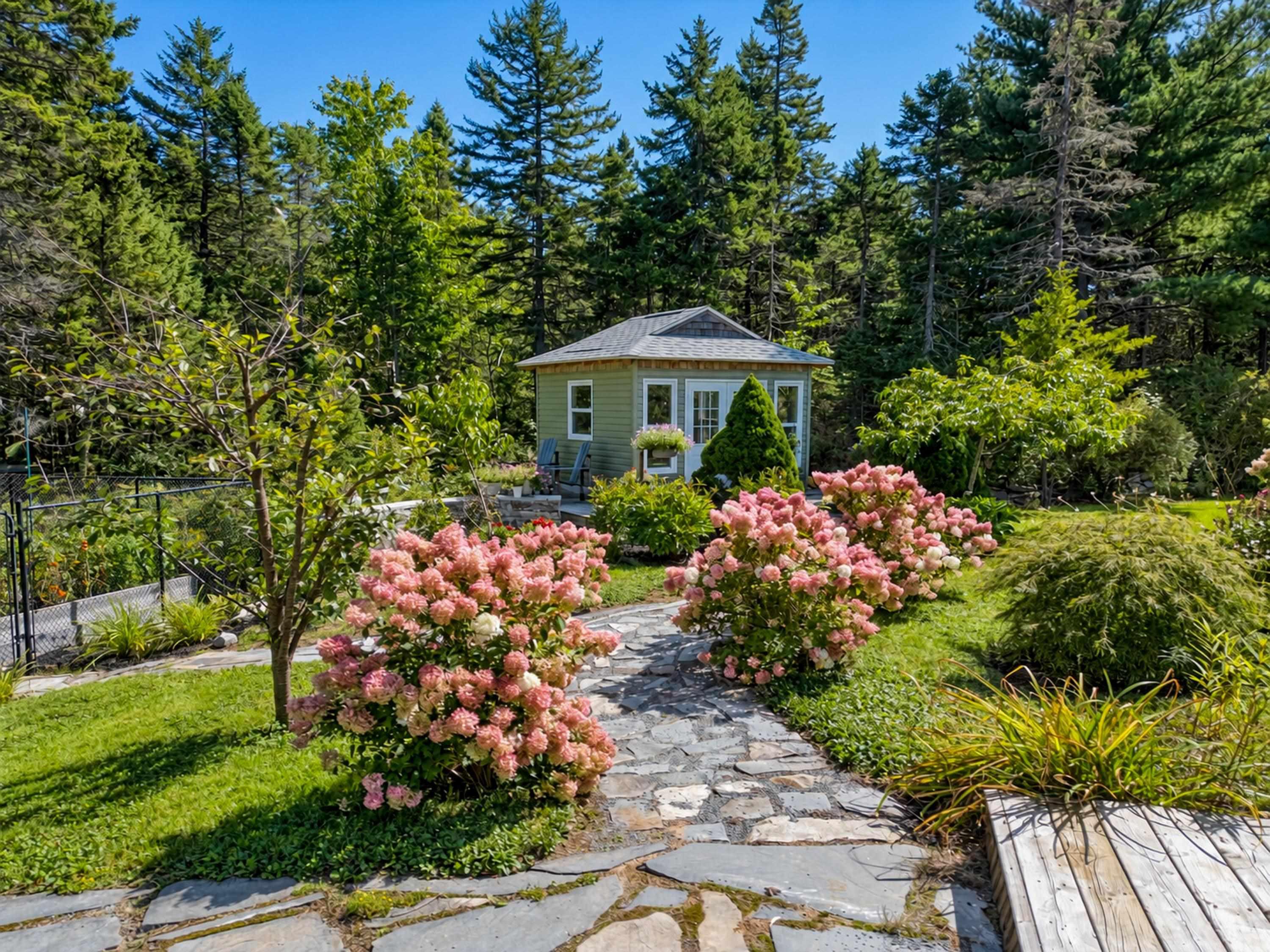 View image 42