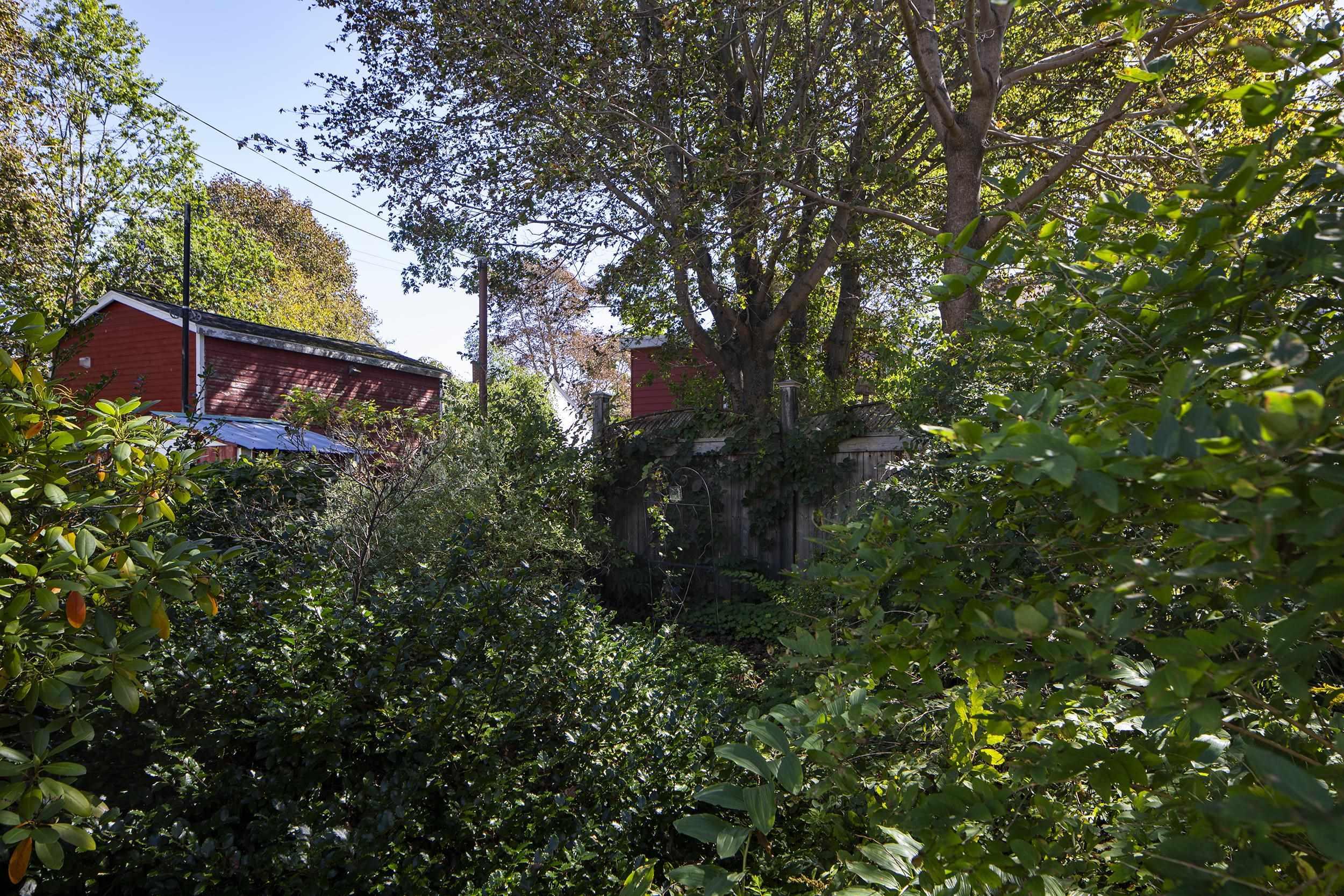 View image 17
