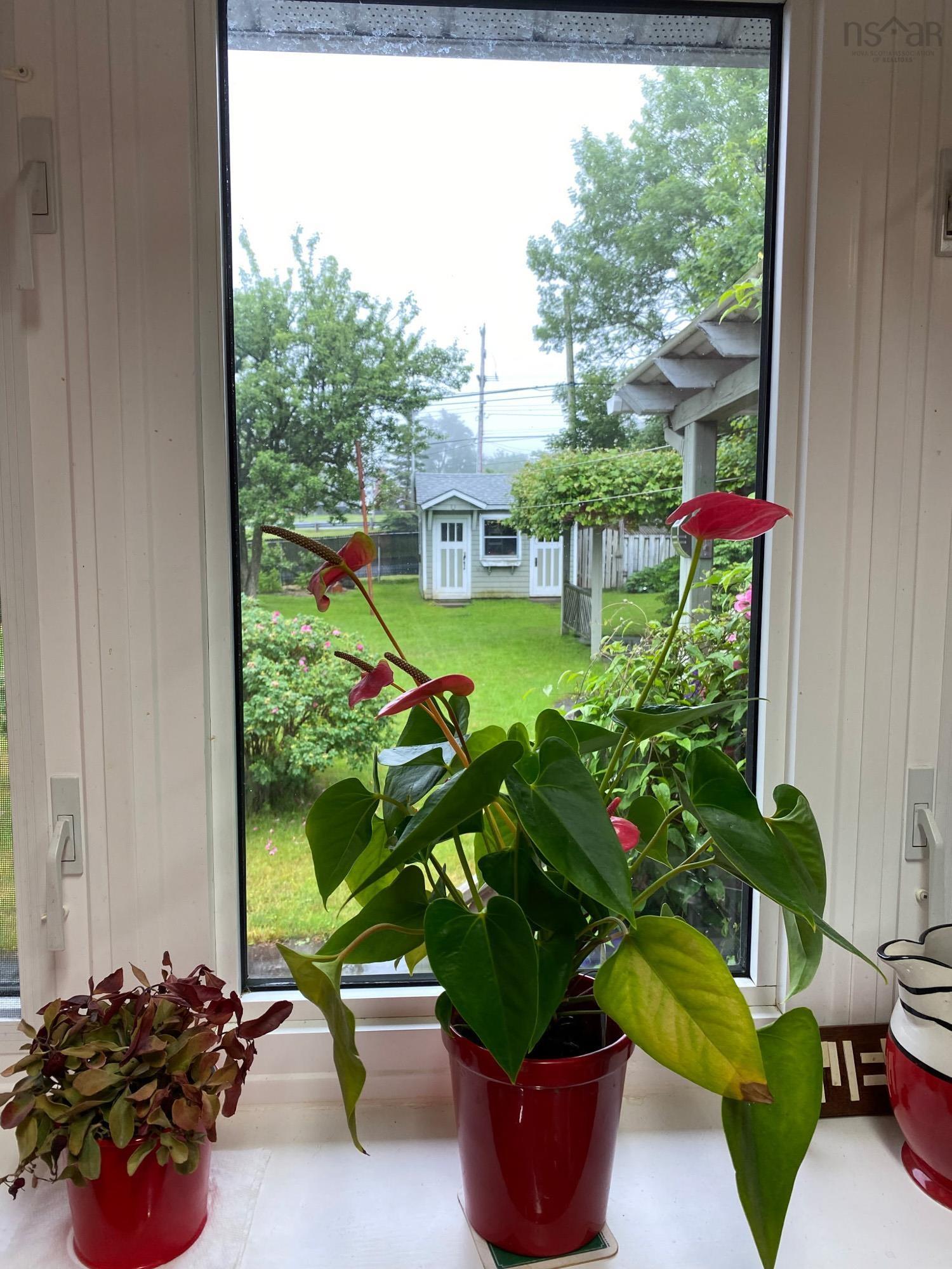 View image 38