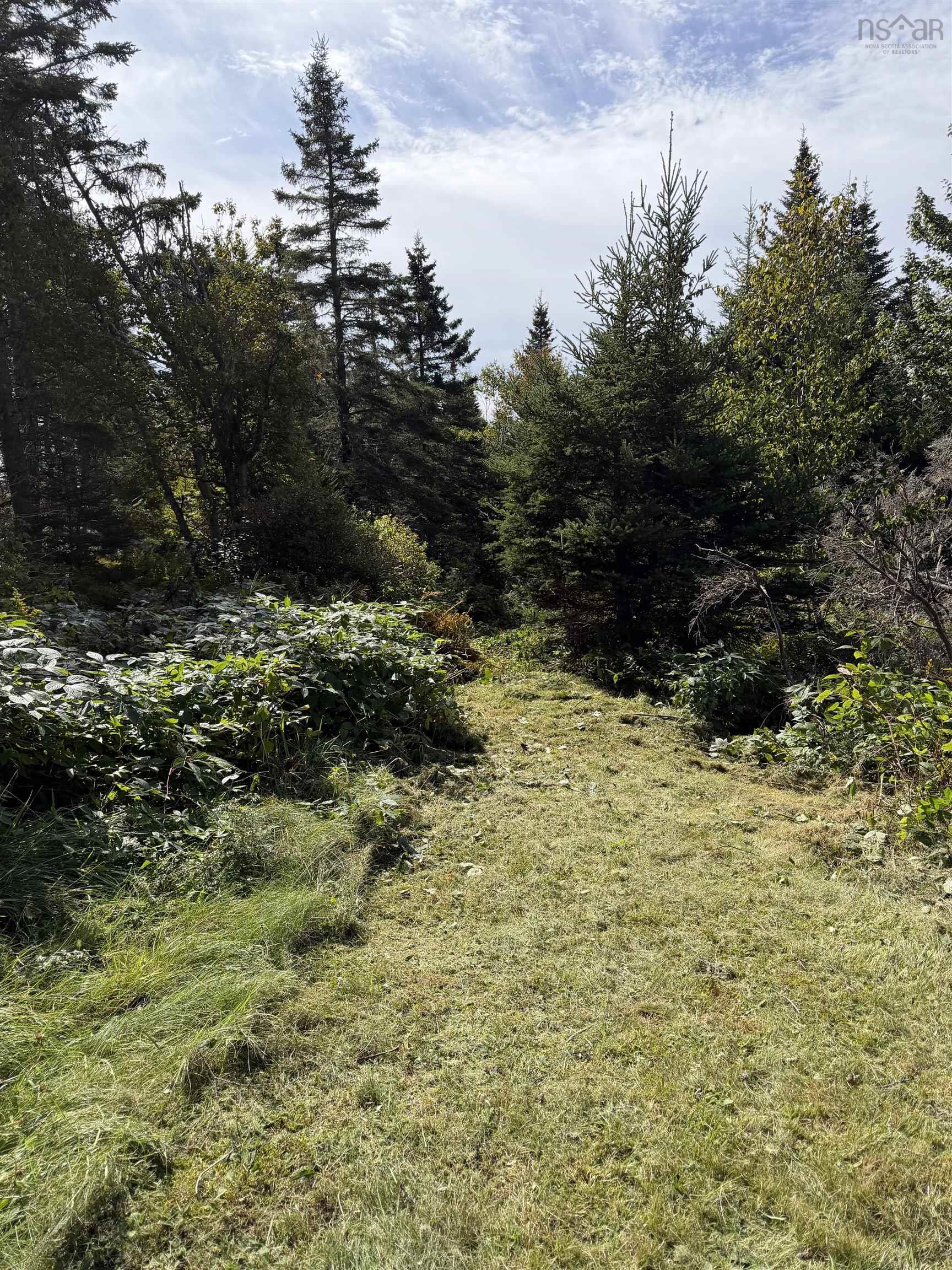 View image 11