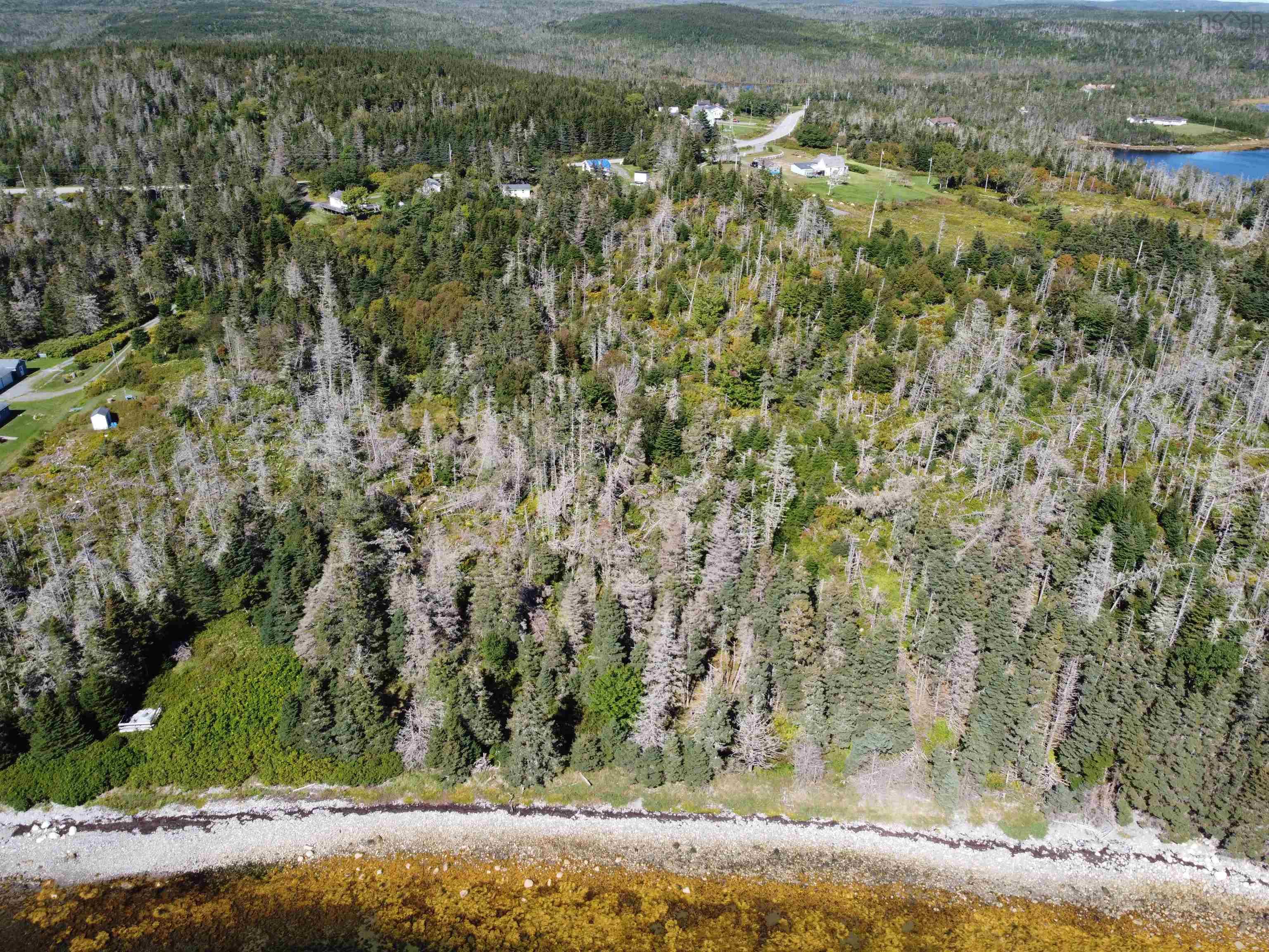 View image 9