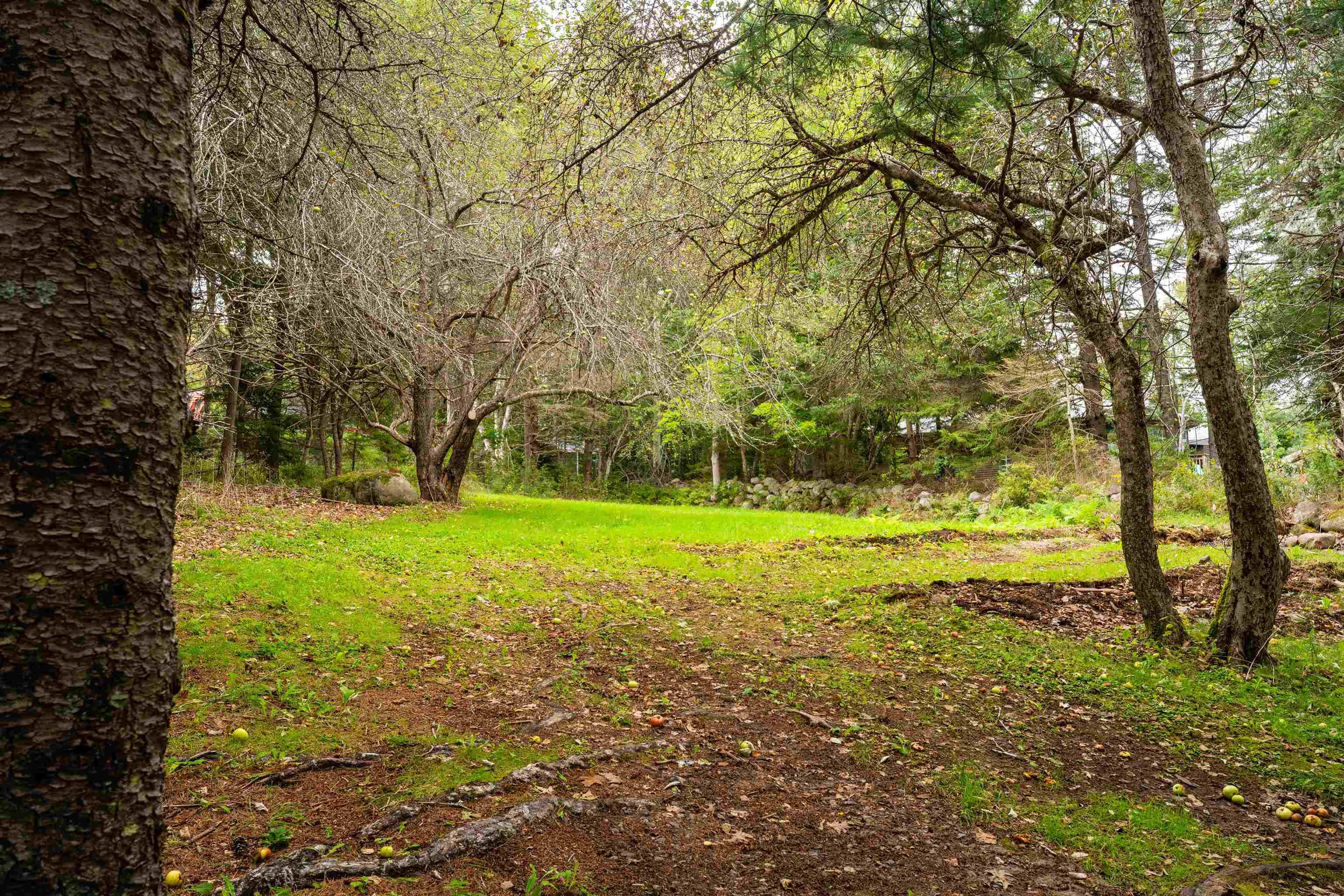 View image 38