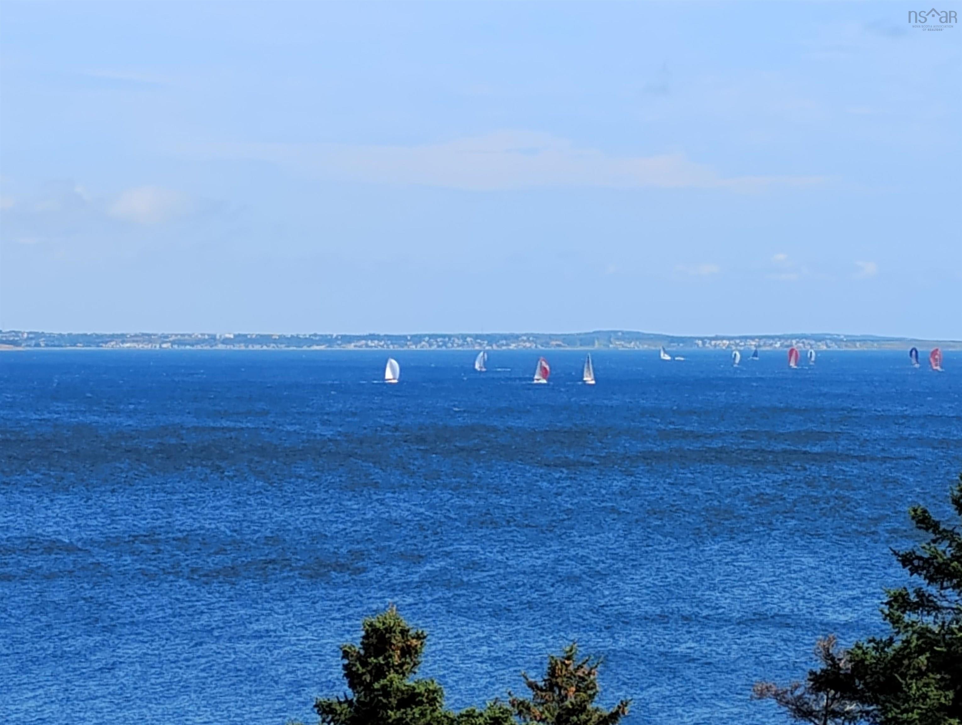 View image 50
