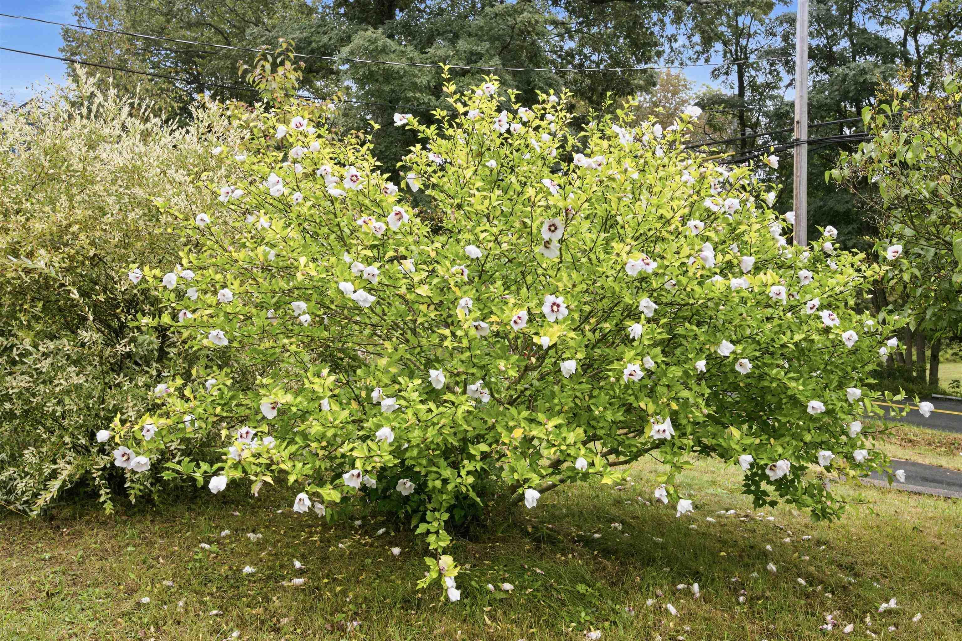 View image 48