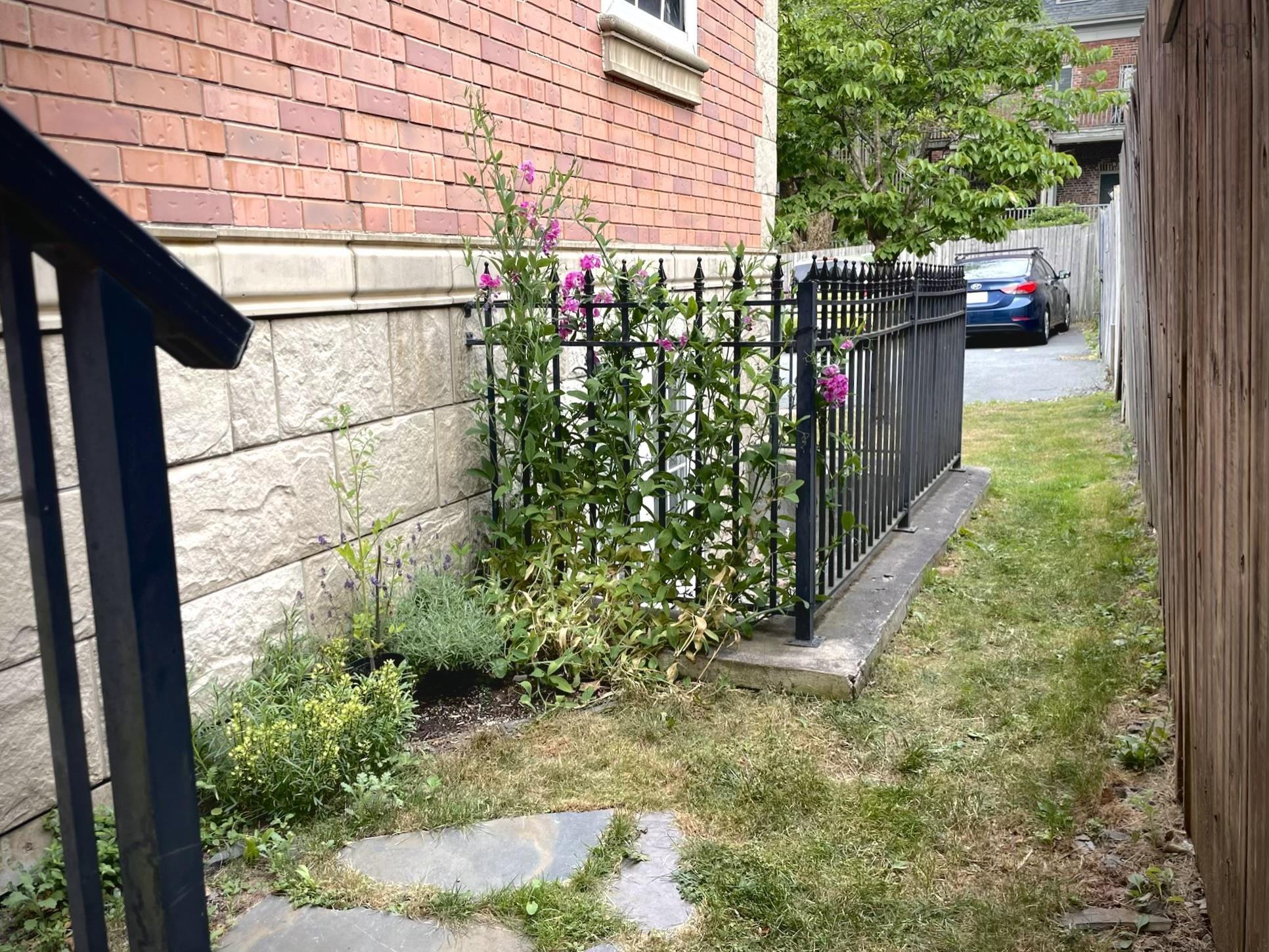 View image 36