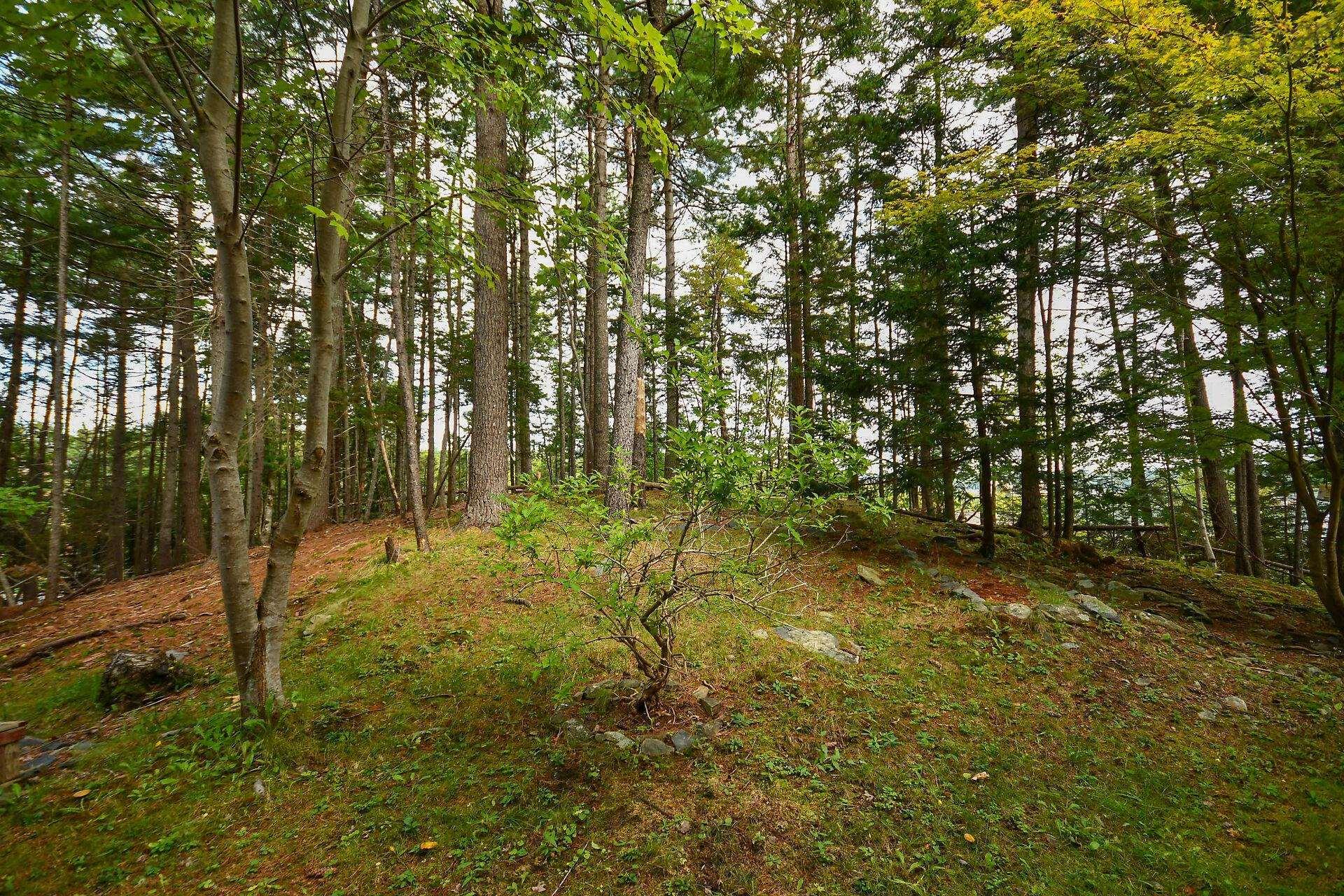 View image 47