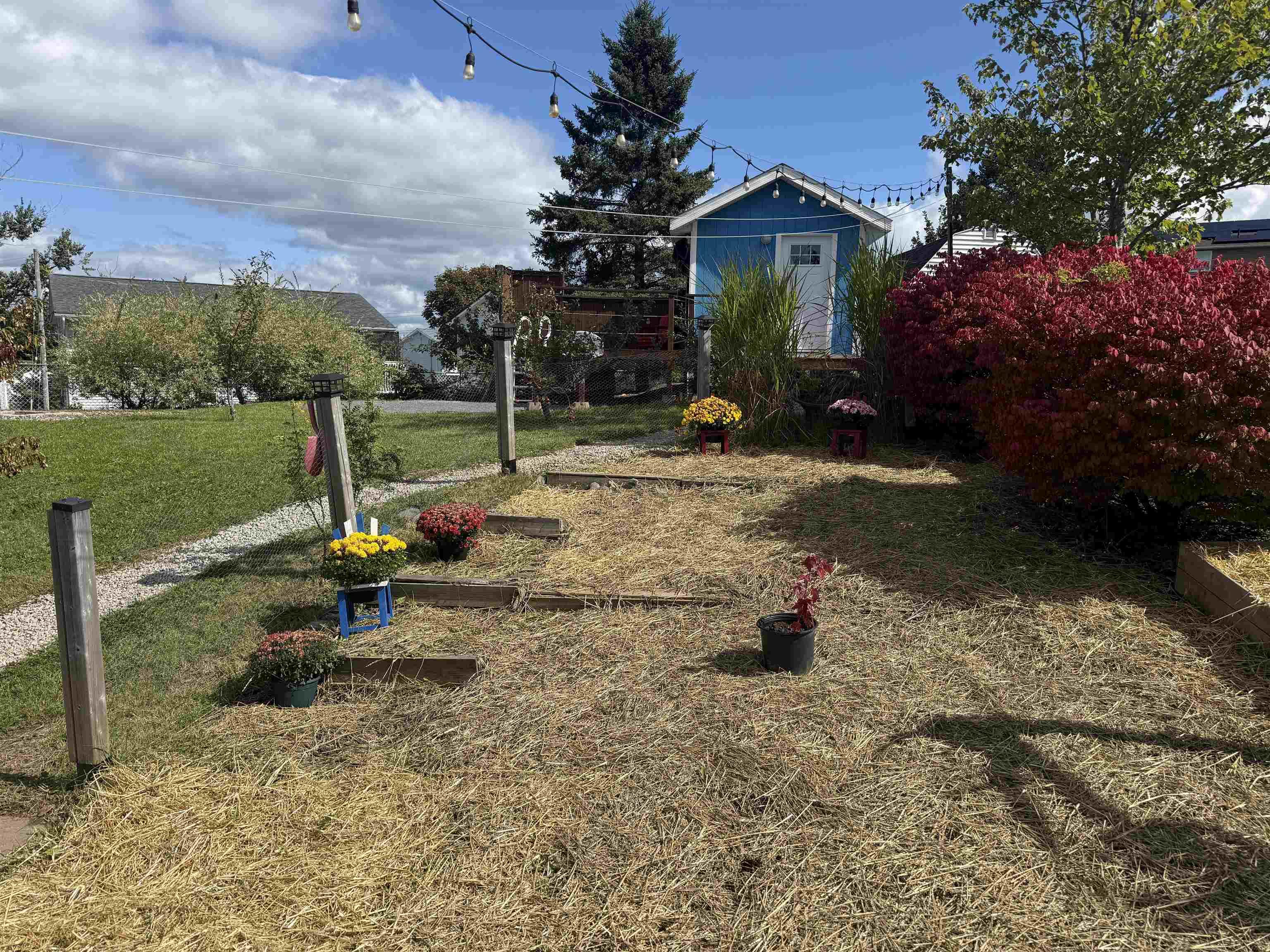 View image 11