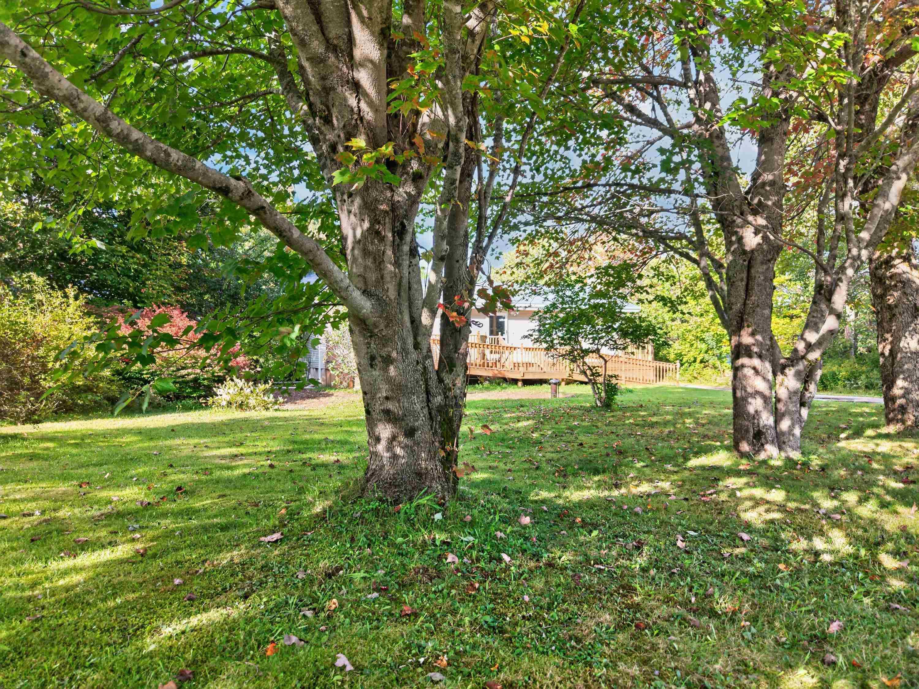 View image 26