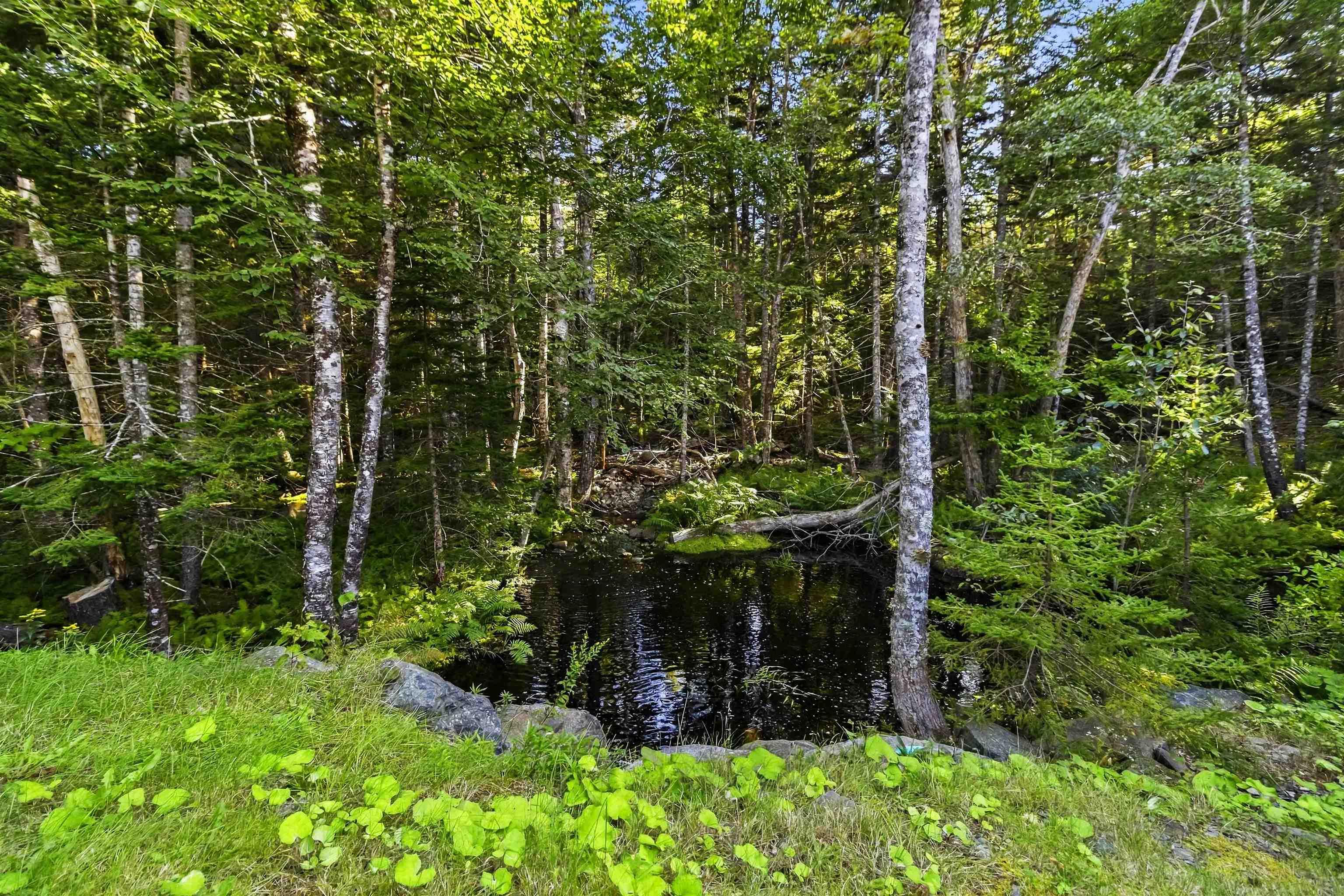 View image 49
