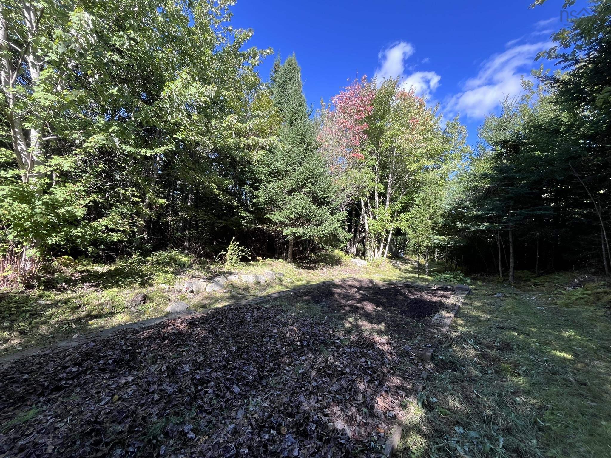 View image 41