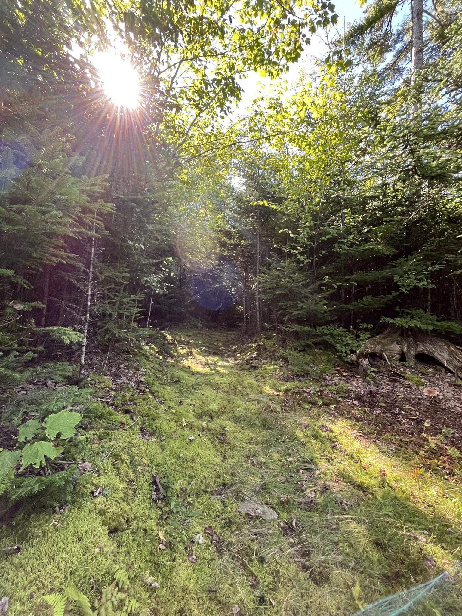 View image 43
