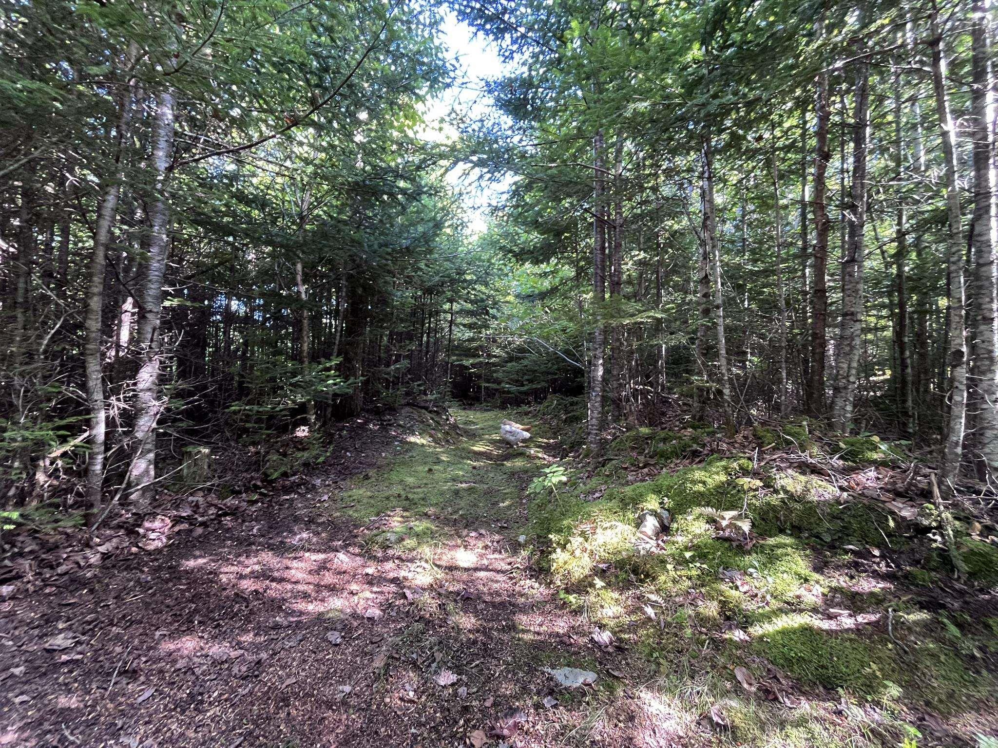 View image 45