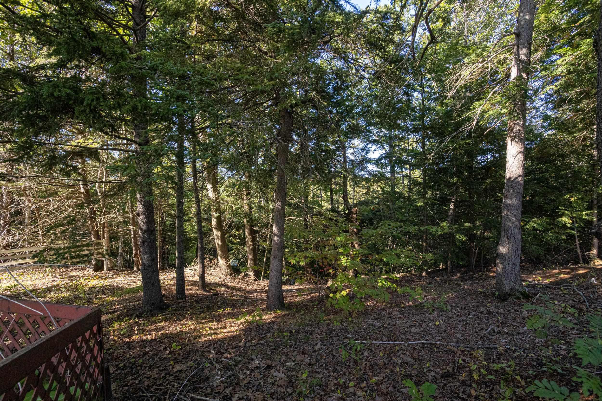 View image 11
