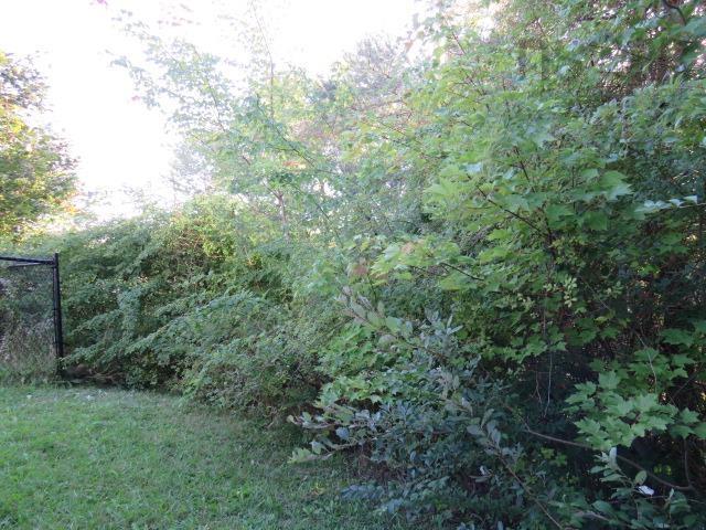 View image 37