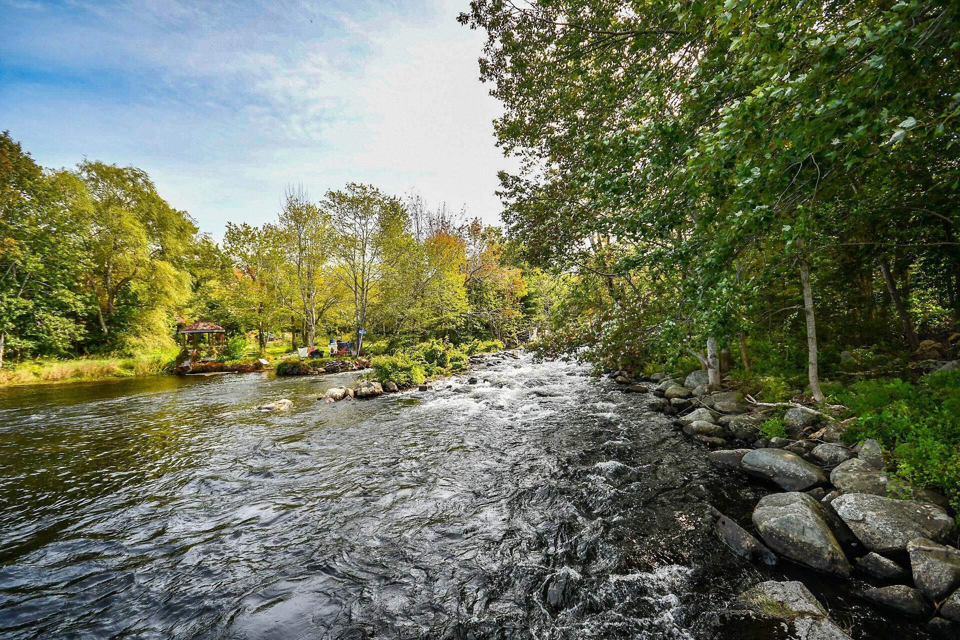 View image 49